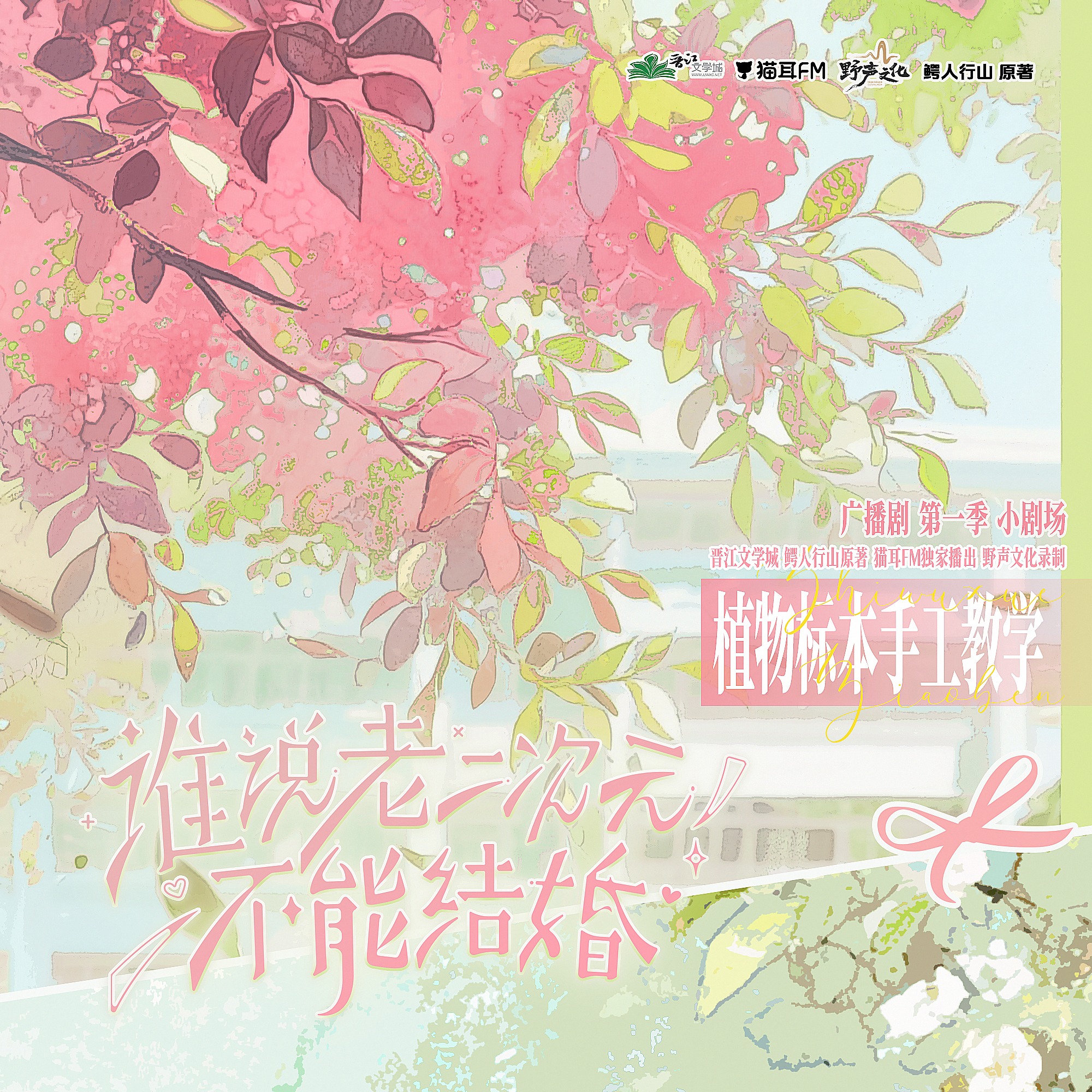 [更新中…]谁说老二次元不能结婚 12（马洋＆赵成晨）🐱👂FM出品