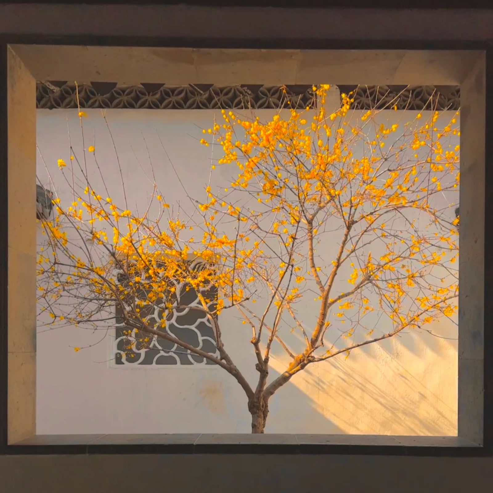 2115《开封奇谈》【完】 赵毅 x 边江（旁白 宝木中阳）白玉堂 x御猫展昭