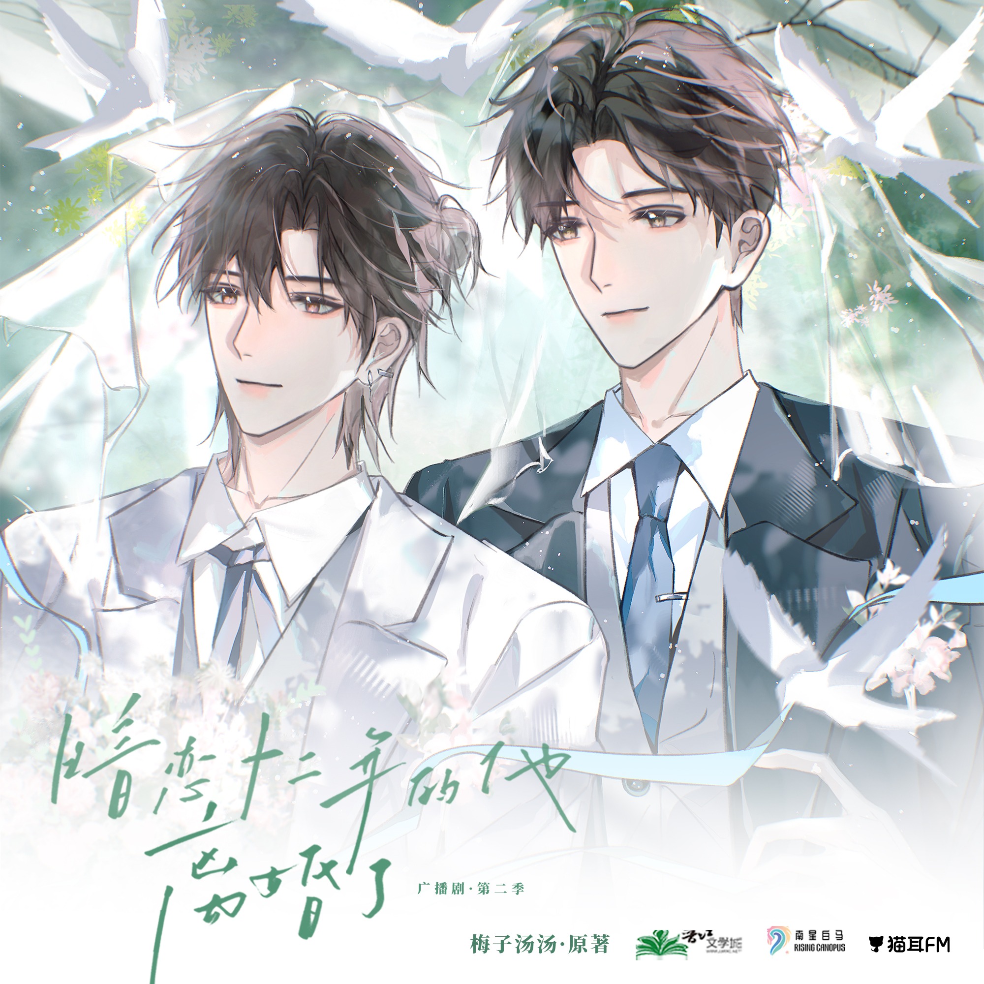 暗恋十二年的他离婚了·第二季🐱💐【全】 episode artwork