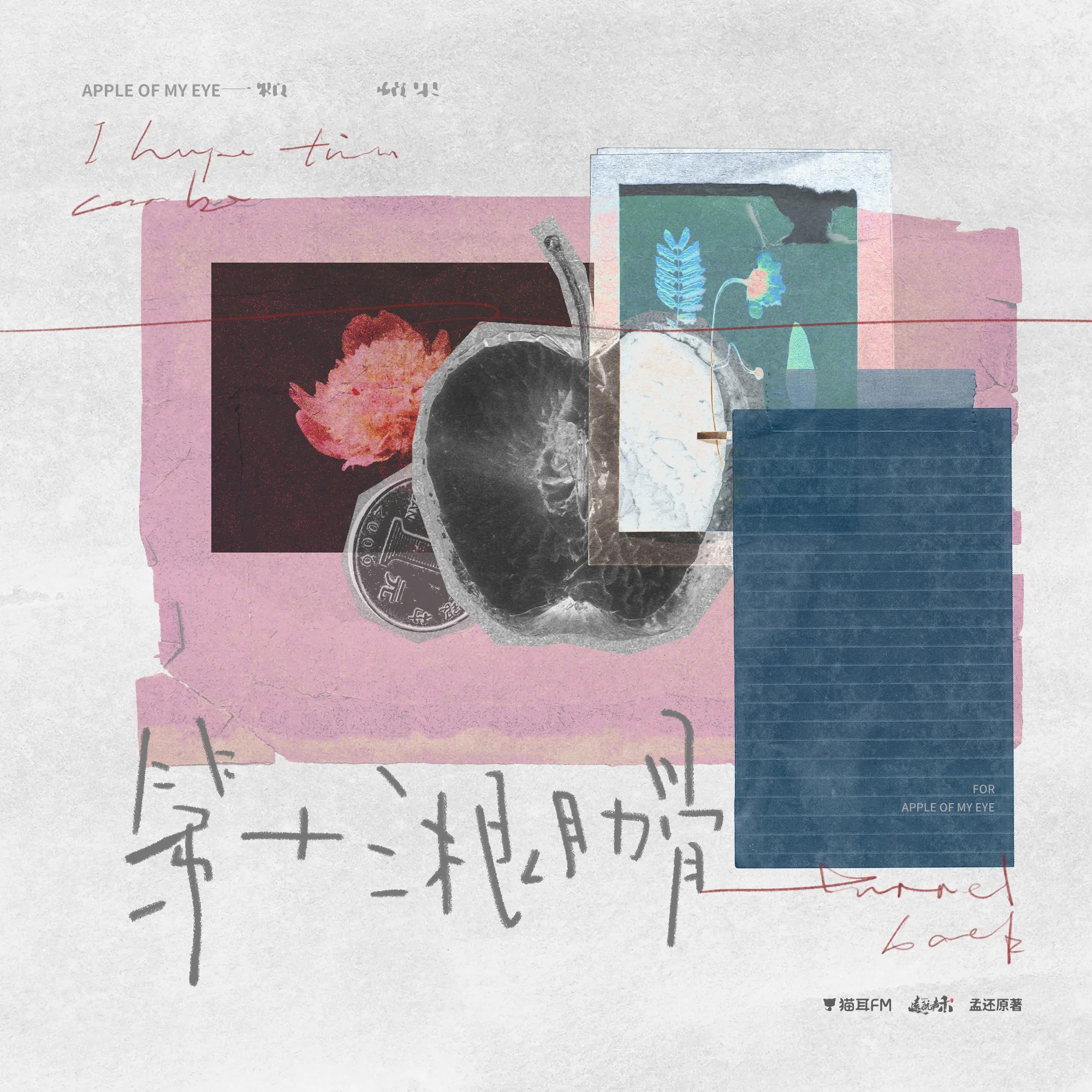 2214 🍎🐱「一颗苹果」第十三根肋骨 episode artwork