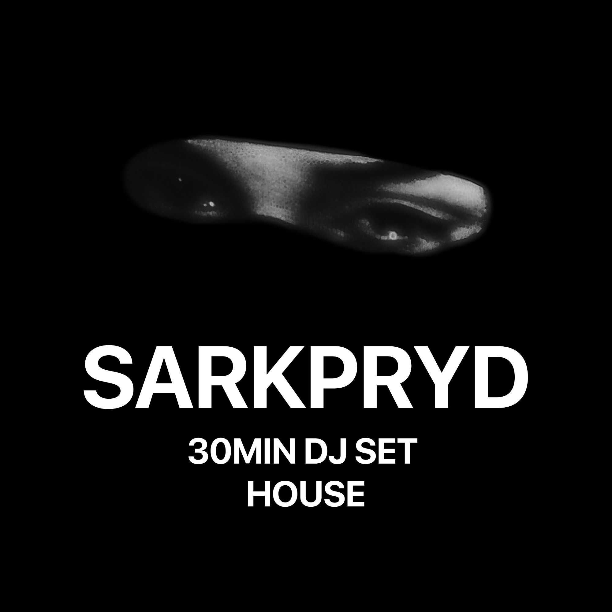 House Music Set - 30 Min Of House Mix episode artwork