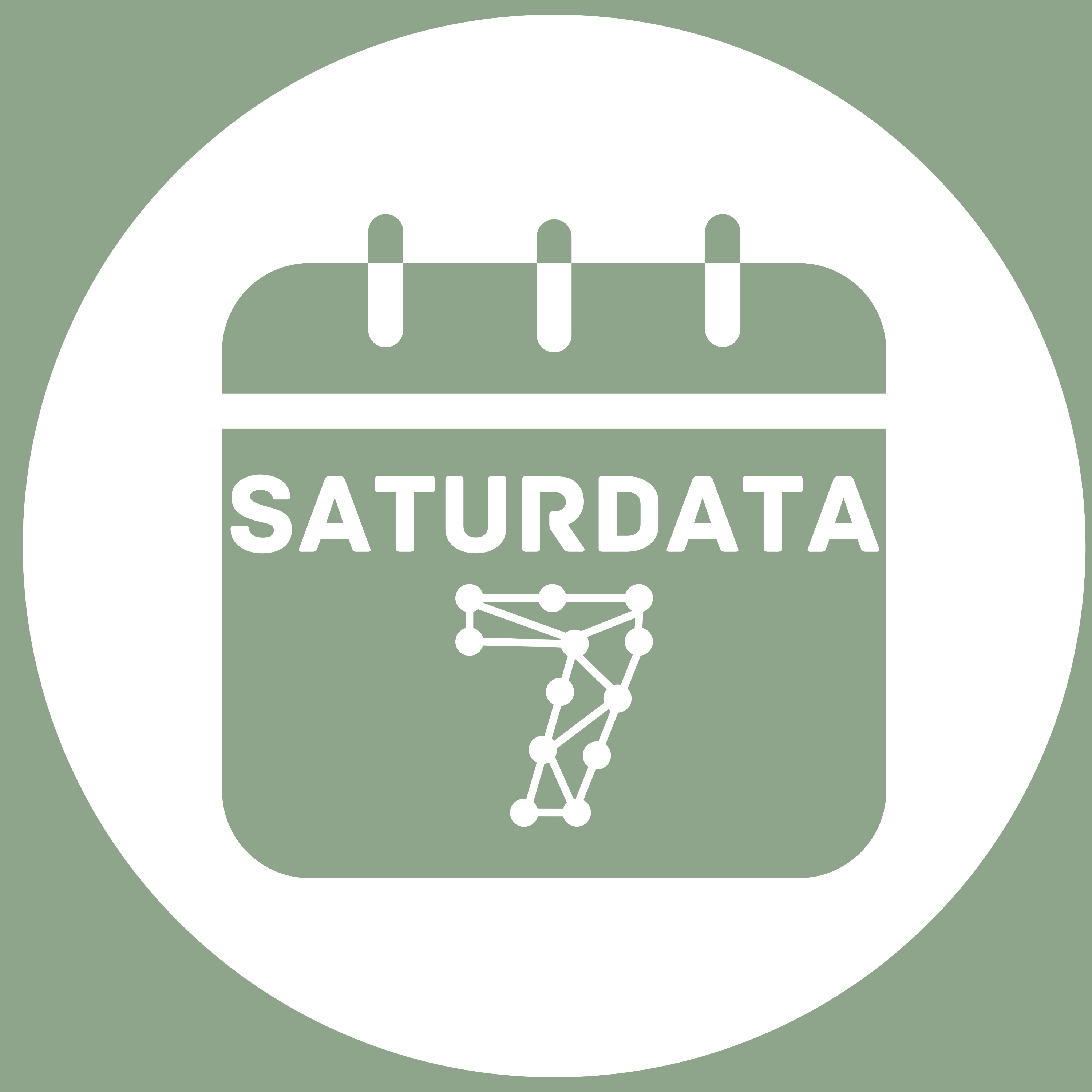 Saturdata