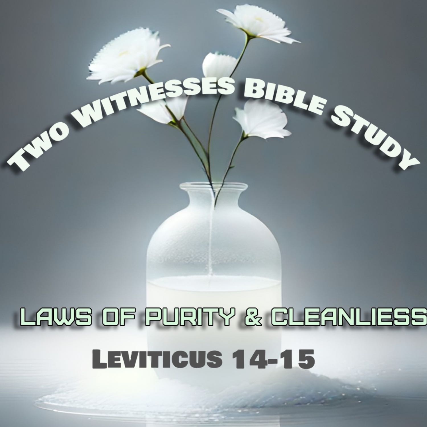 #163 ๐งฝ Leviticus 14-15, The Laws Of Purity and Cleanliness ๐๐ฝ ๐ฆ ๐จ๐ผโ๐ฆฒ #163 ๐งฝ Leviticus 14-15, The Laws Of Purity and Cleanliness ๐๐ฝ ๐ฆ ๐จ๐ผโ๐ฆฒ