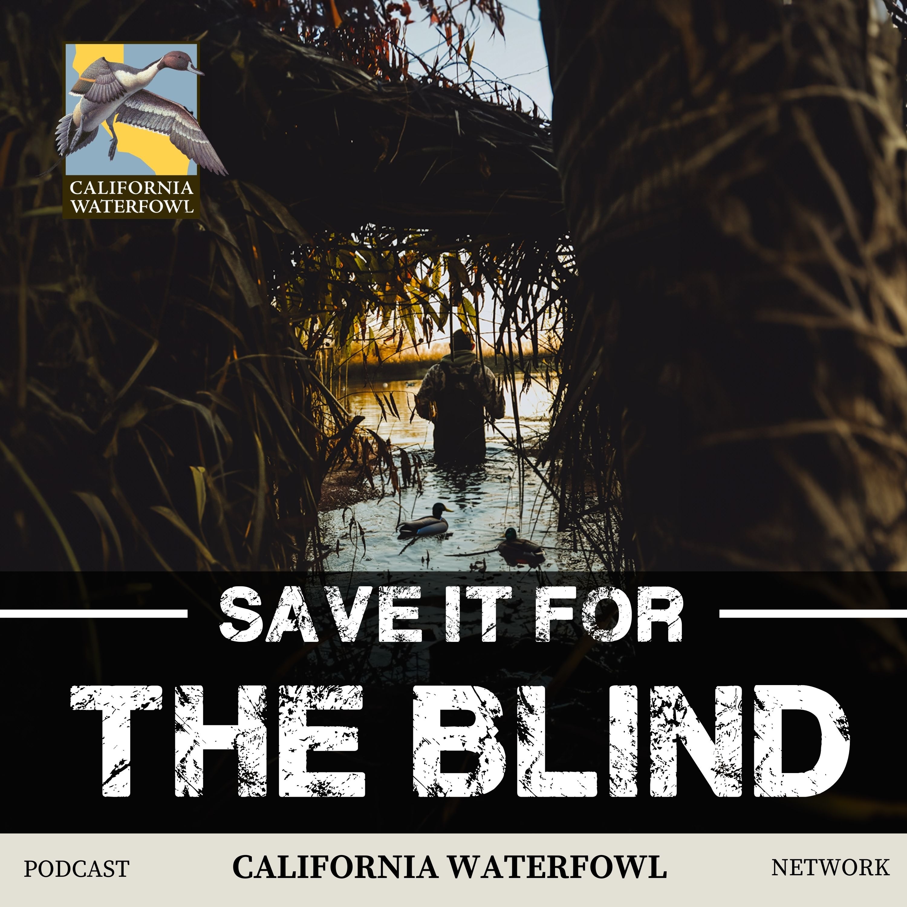Ep. 35: Protecting Wildlife: A Conversation with California State Game Warden Captain Shawn Olague episode artwork