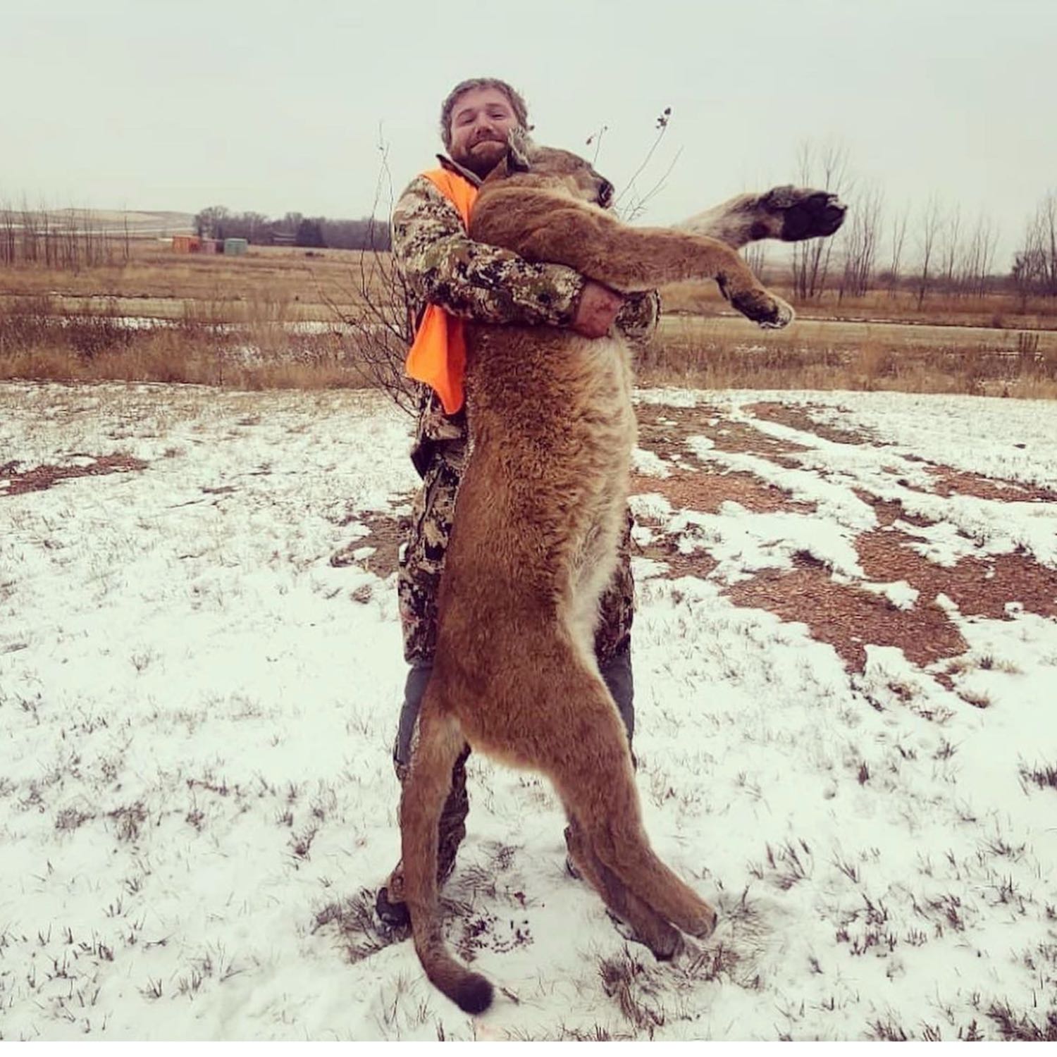 001 Jeff's Mountain Lion