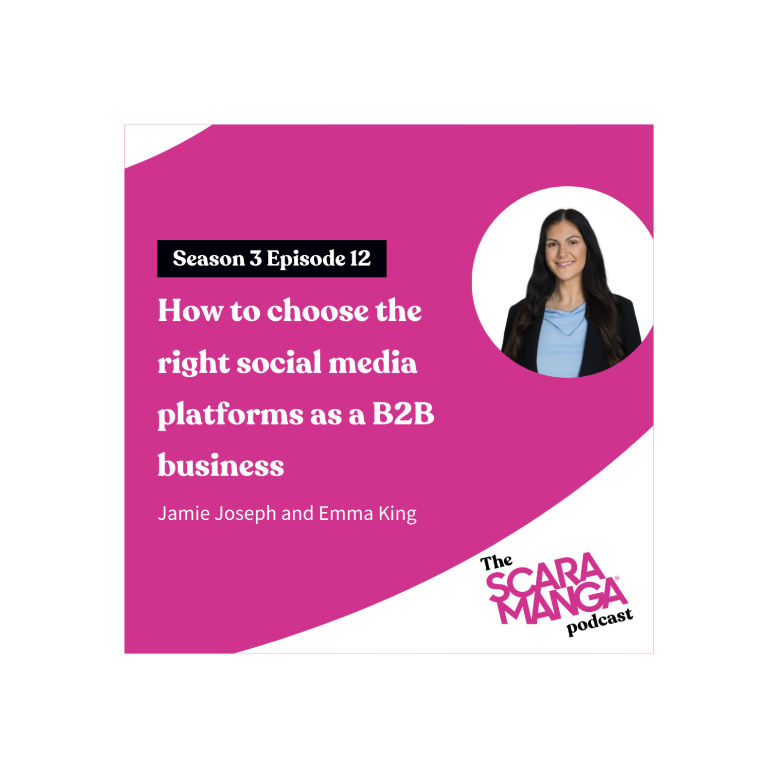 How to choose the right social media platforms as a B2B business  episode artwork