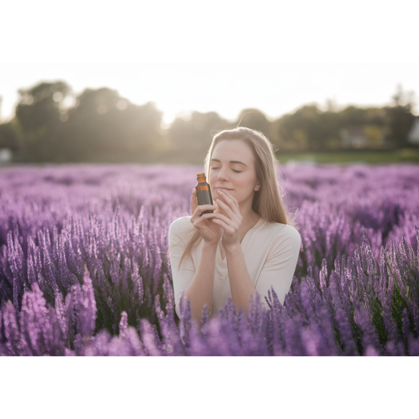 Scents of Serenity: Journey Into Aromatherapy & Wellness