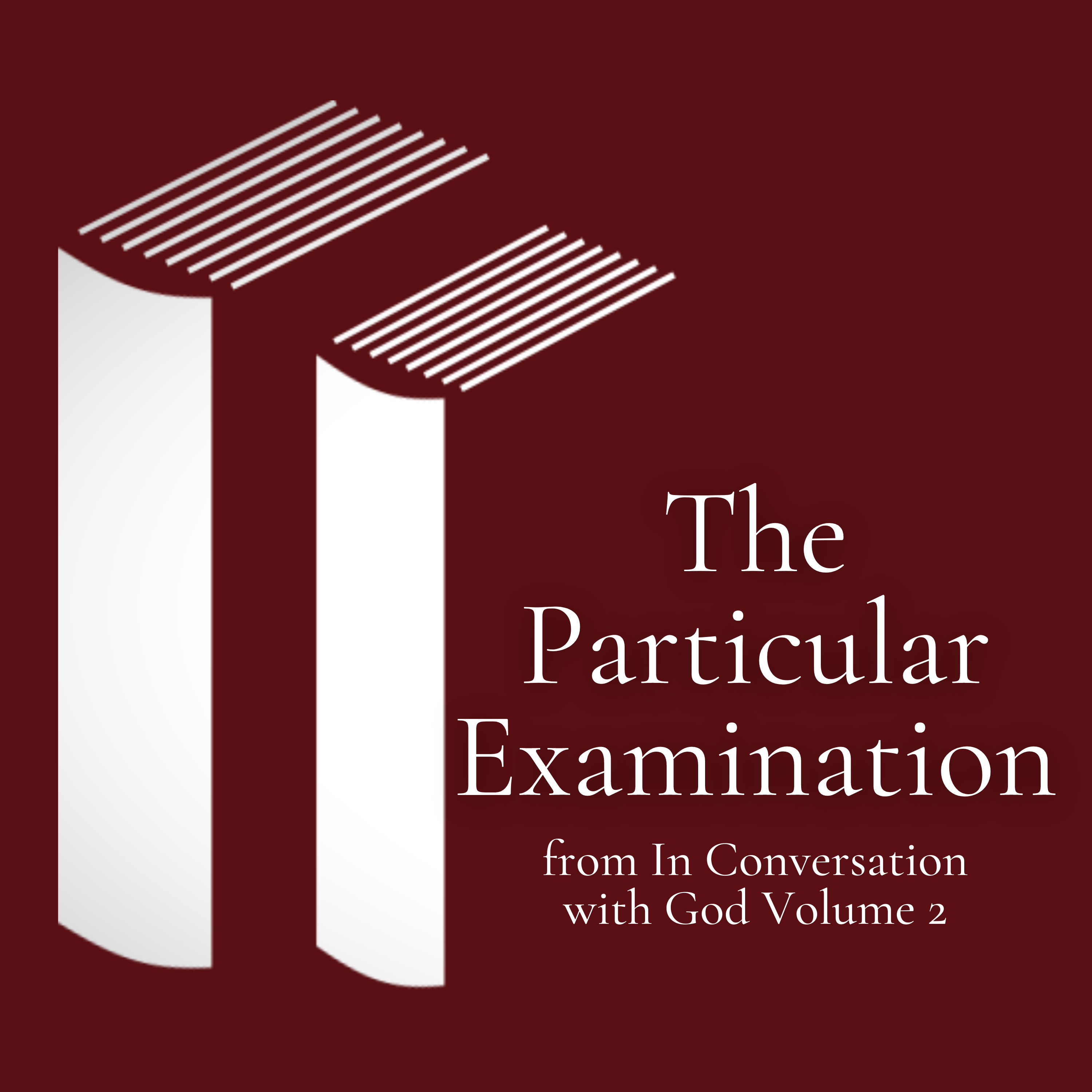 The Particular Examination - In Conversation with God Volume 2 episode artwork