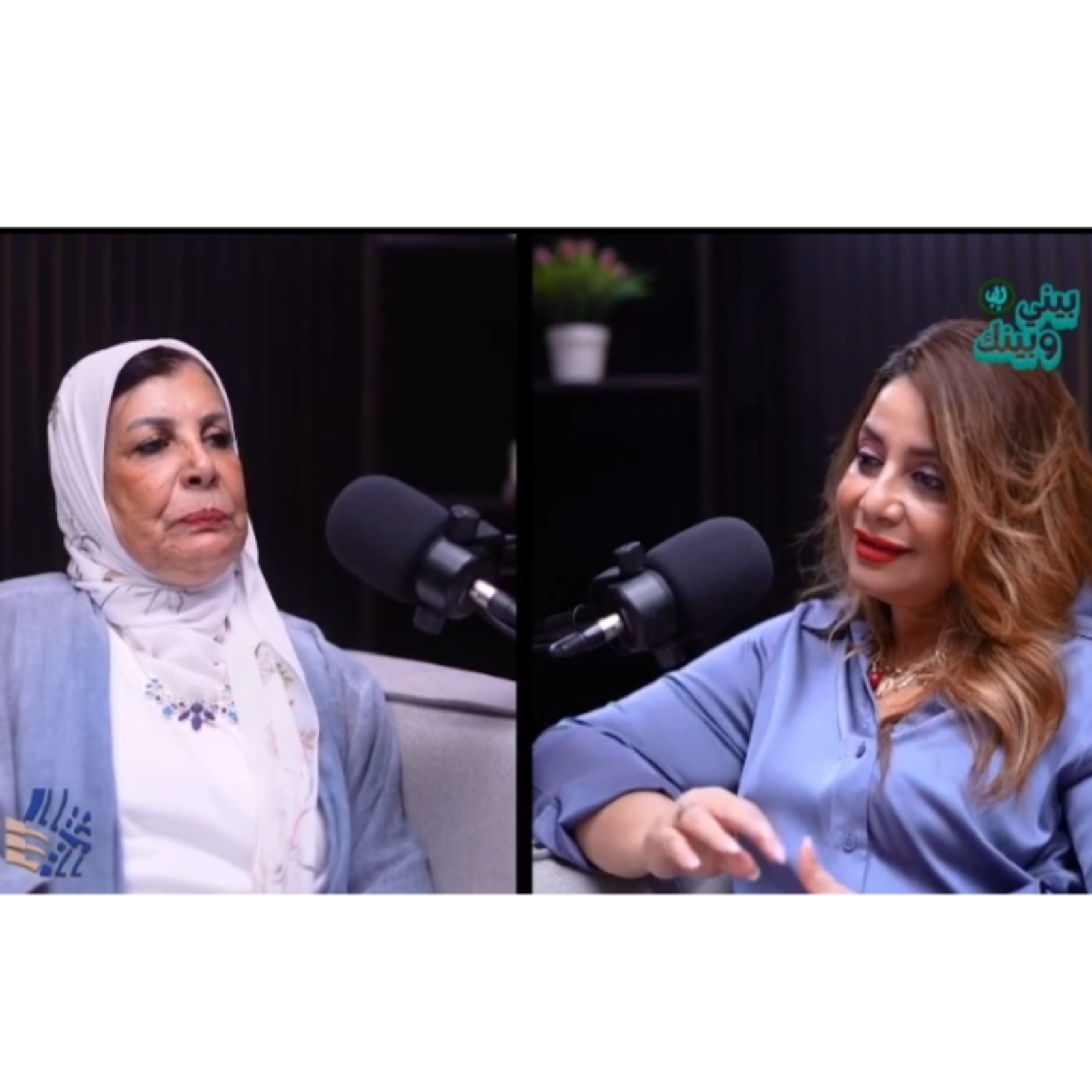 بيني وبينك مع زينب عفيفي والكاتبة رشا عدلي ج 2