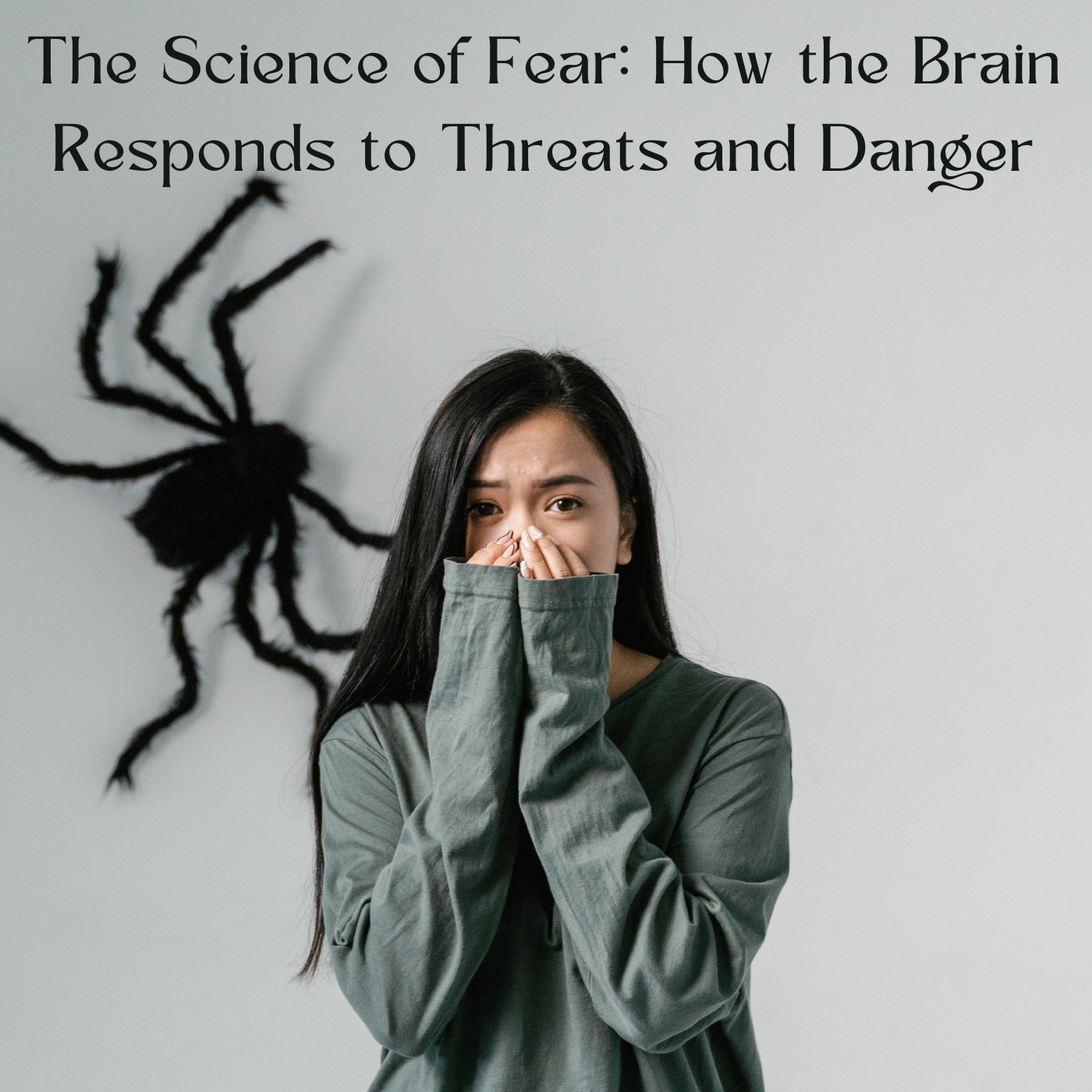 The Science of Fear: How the Brain Responds to Threats and Danger