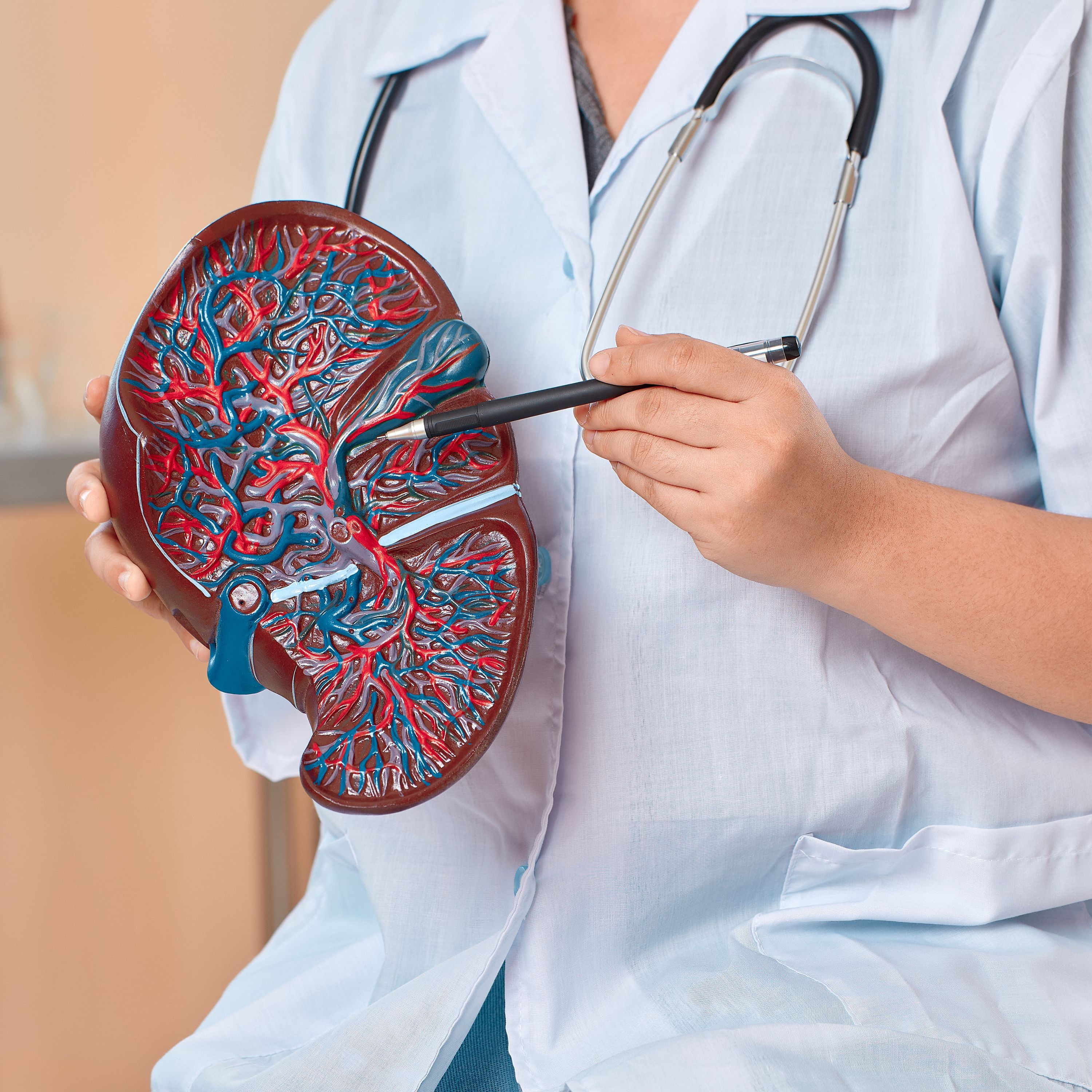 3D-Printed Human Organs: How Close Is the Future of Transplant Medicine?