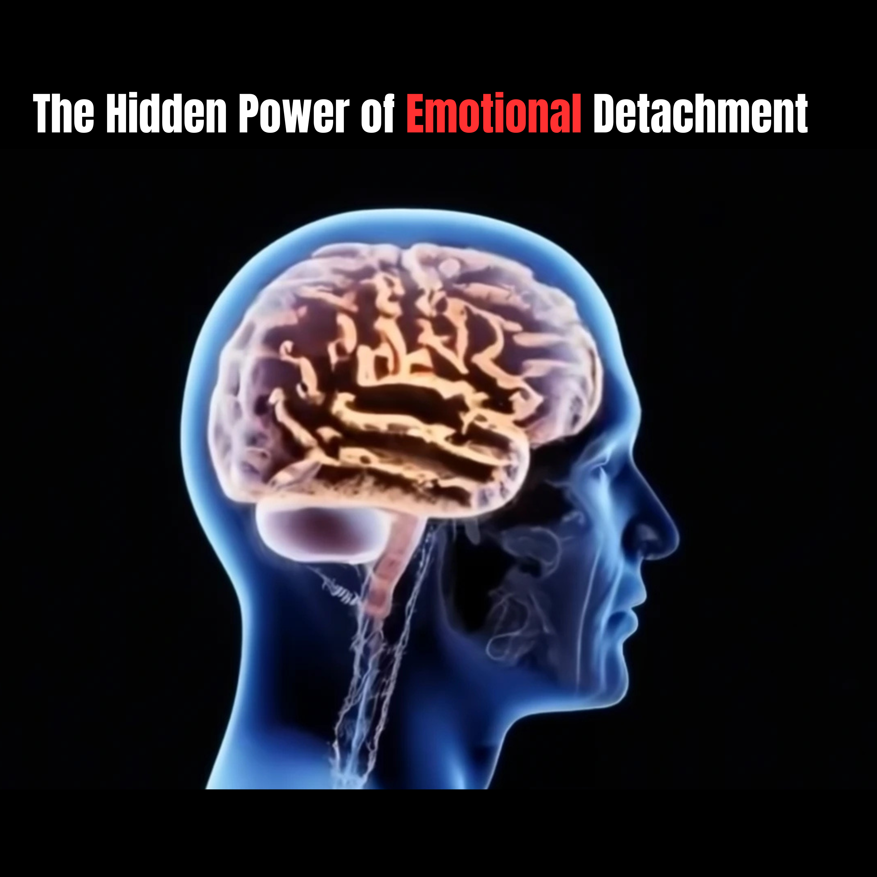 The Psychology of Emotional Discipline