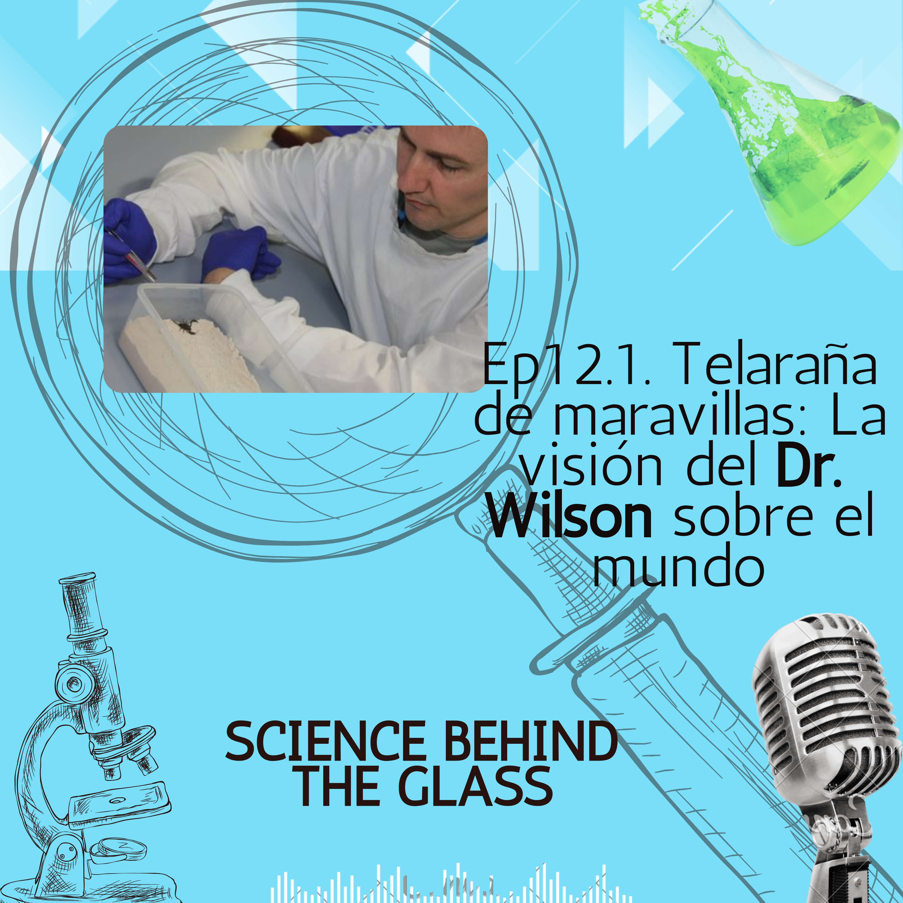 Telaraña de maravillas: La visión del Dr. Wilson sobre el mundo