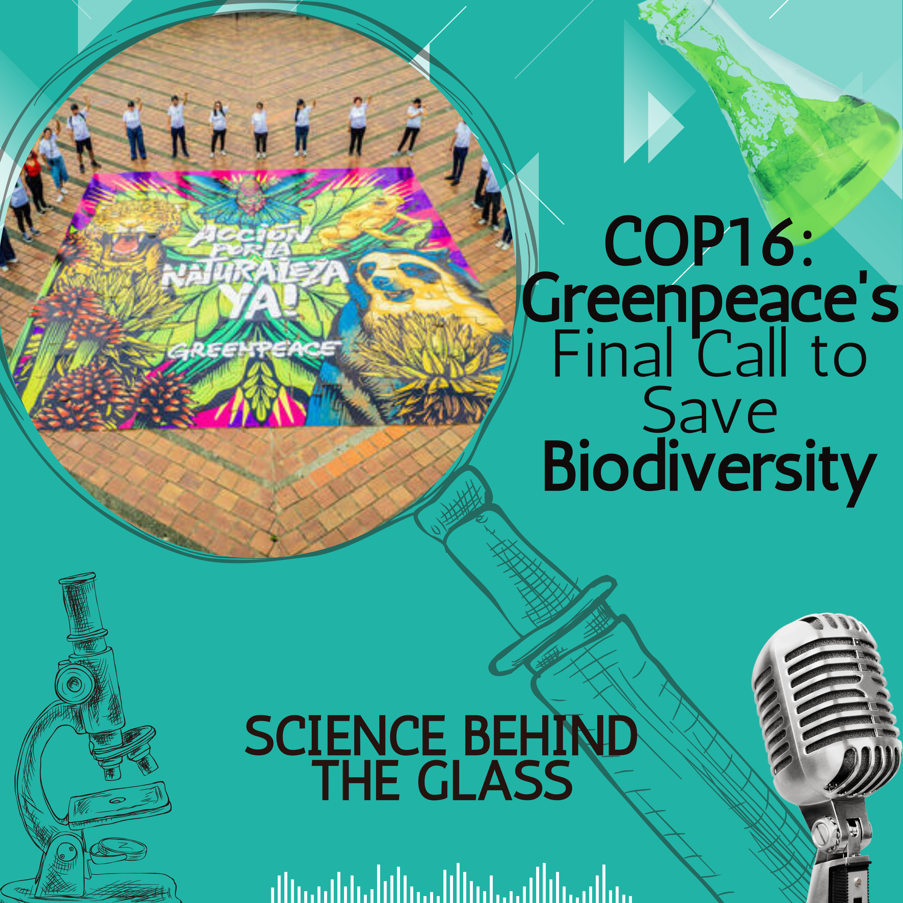 COP16: Greenpeace's Final Call to Save Biodiversity