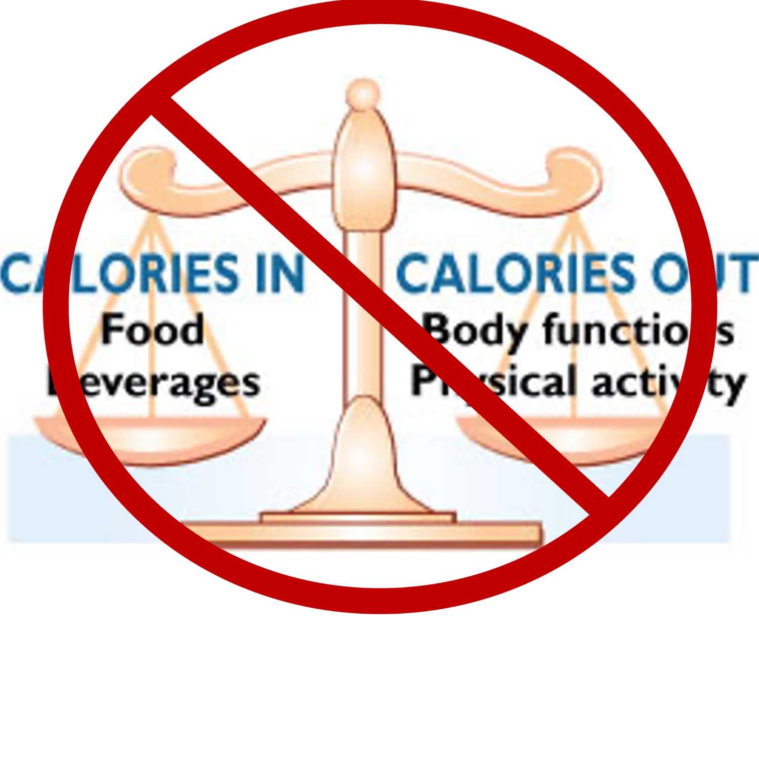 What do you mean Calories can't be burned?