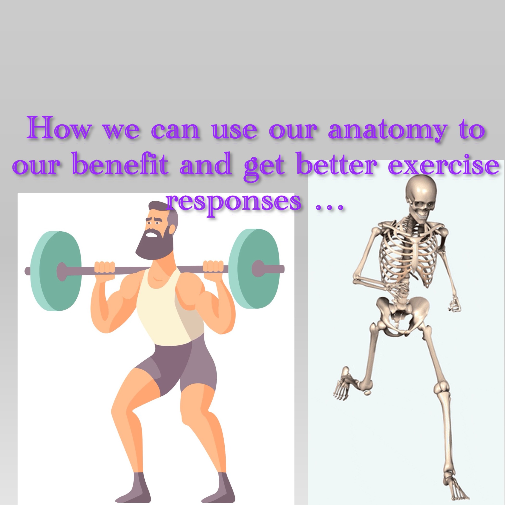 To maximize your workout... know how your body works