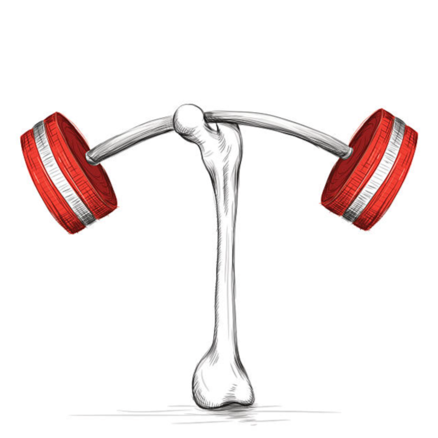 How do we get and keep strong bones?