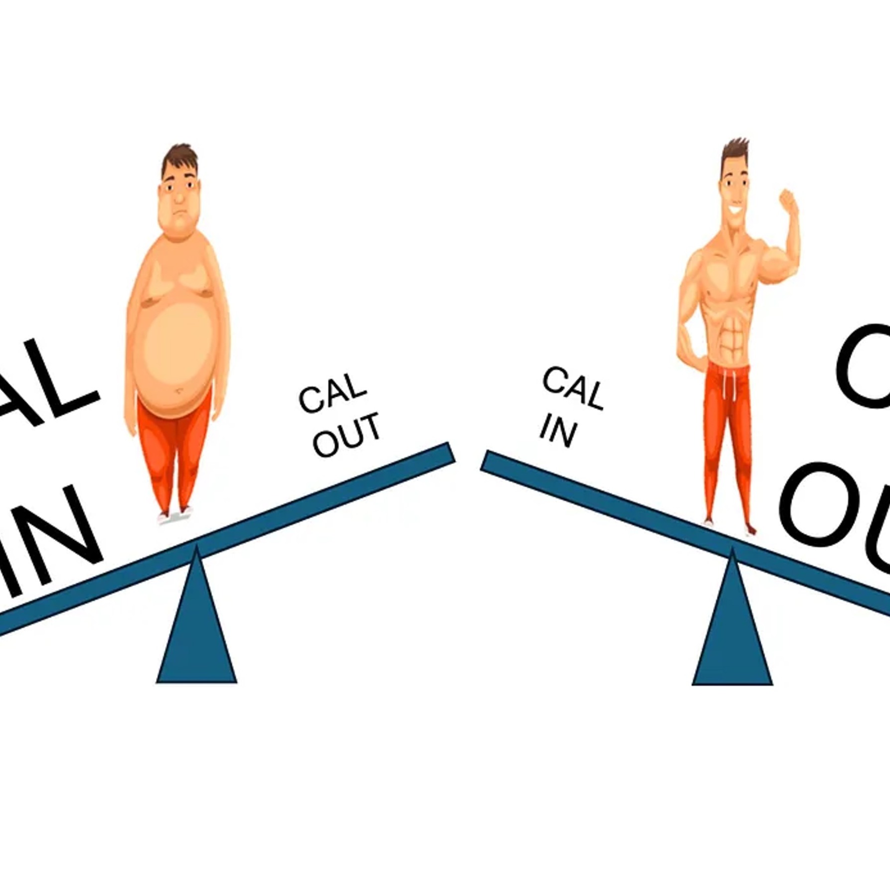 Is it really that simple? Nutrition and metabolism myths that seem to never go away