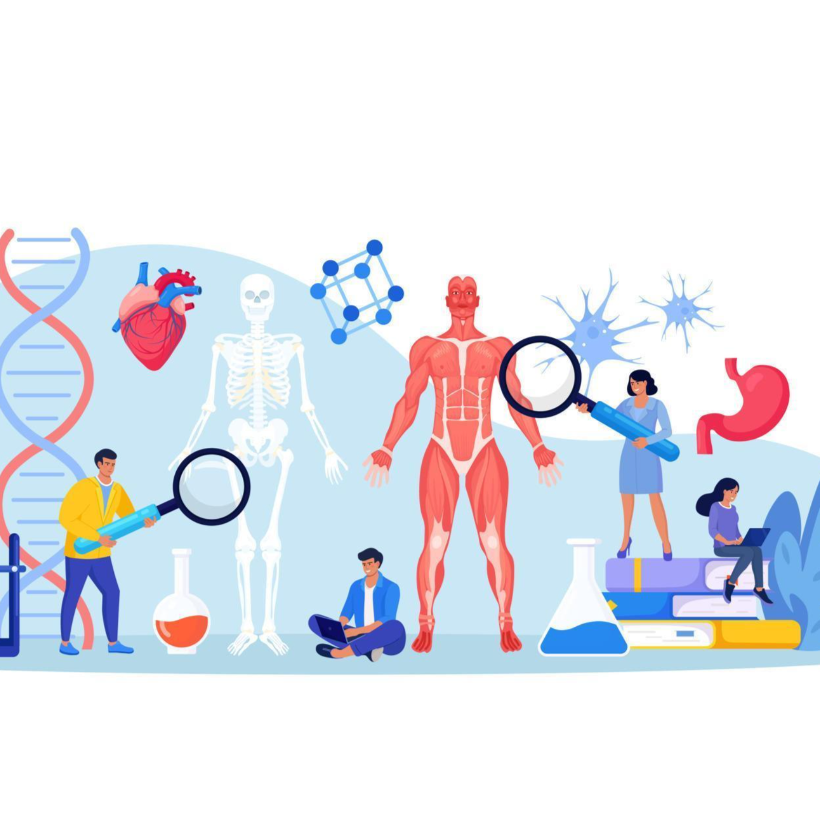 How can they not see it...