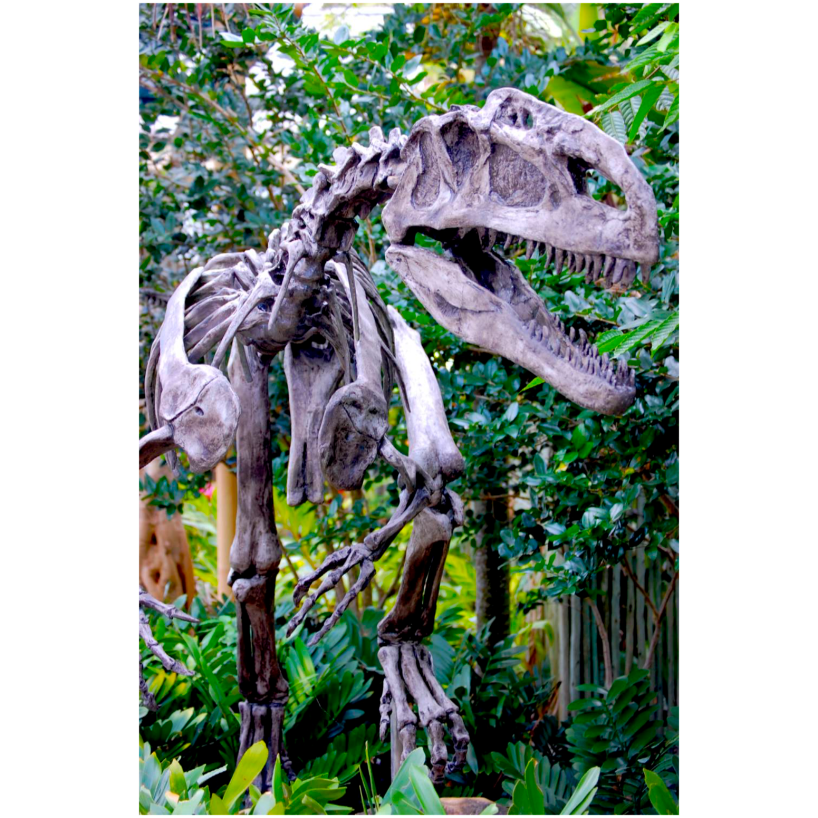 Most of an Allosaurus | SCP-250 episode artwork