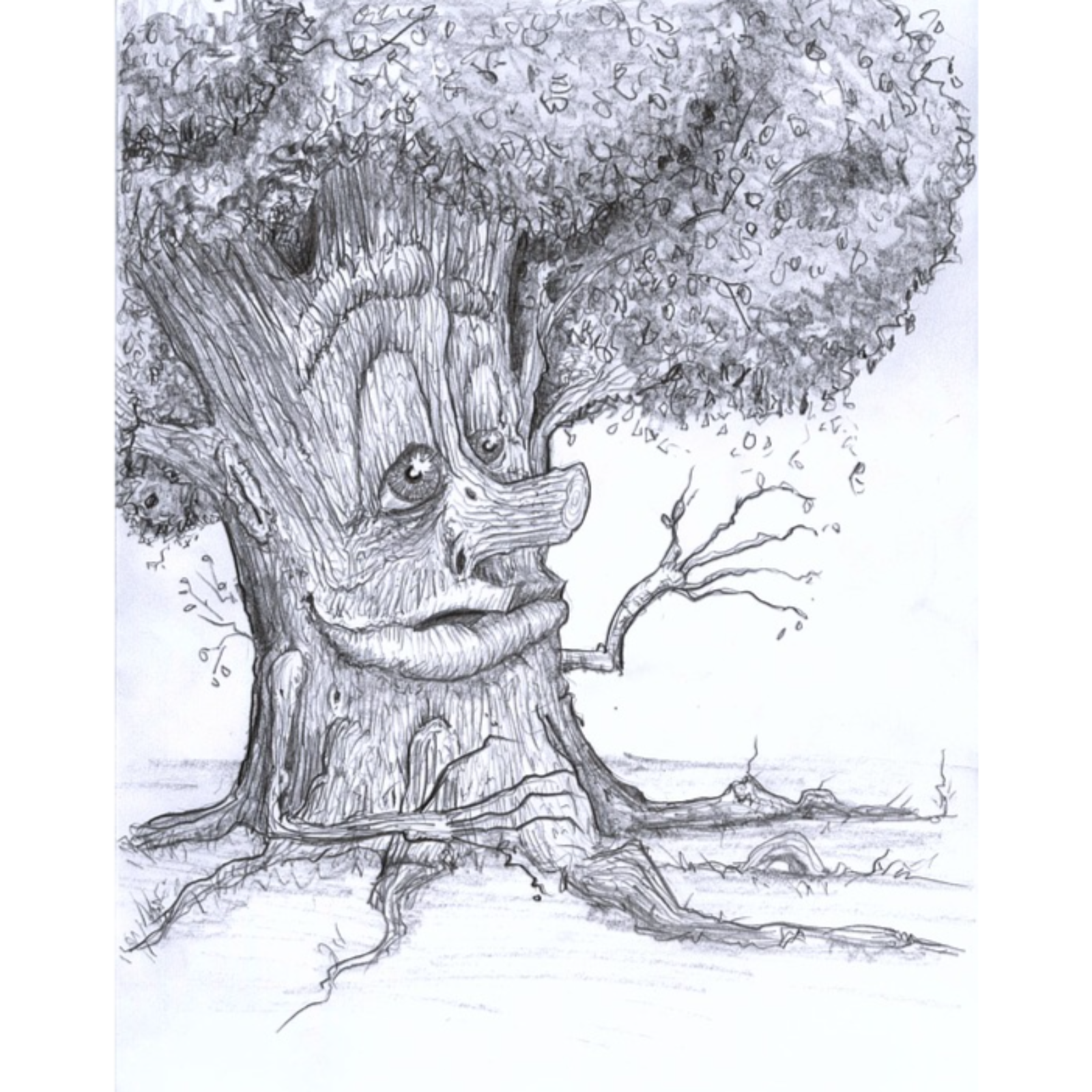 Cragglewood Park | SCP-2571 episode artwork