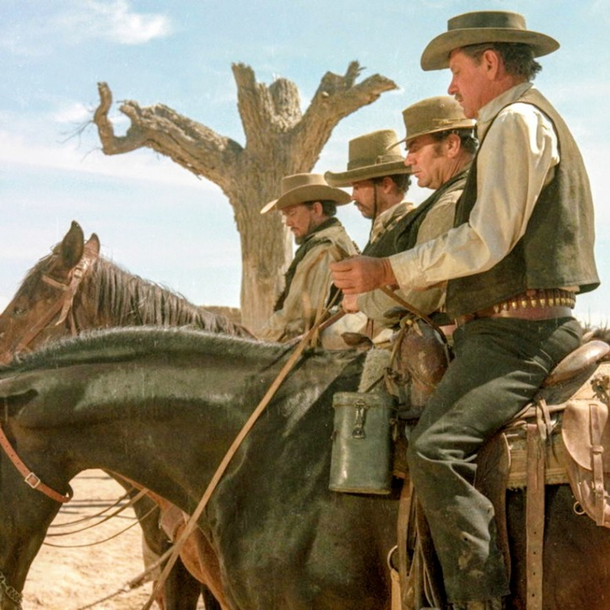 Screendivers Episode 079 'The Wild Bunch' episode artwork