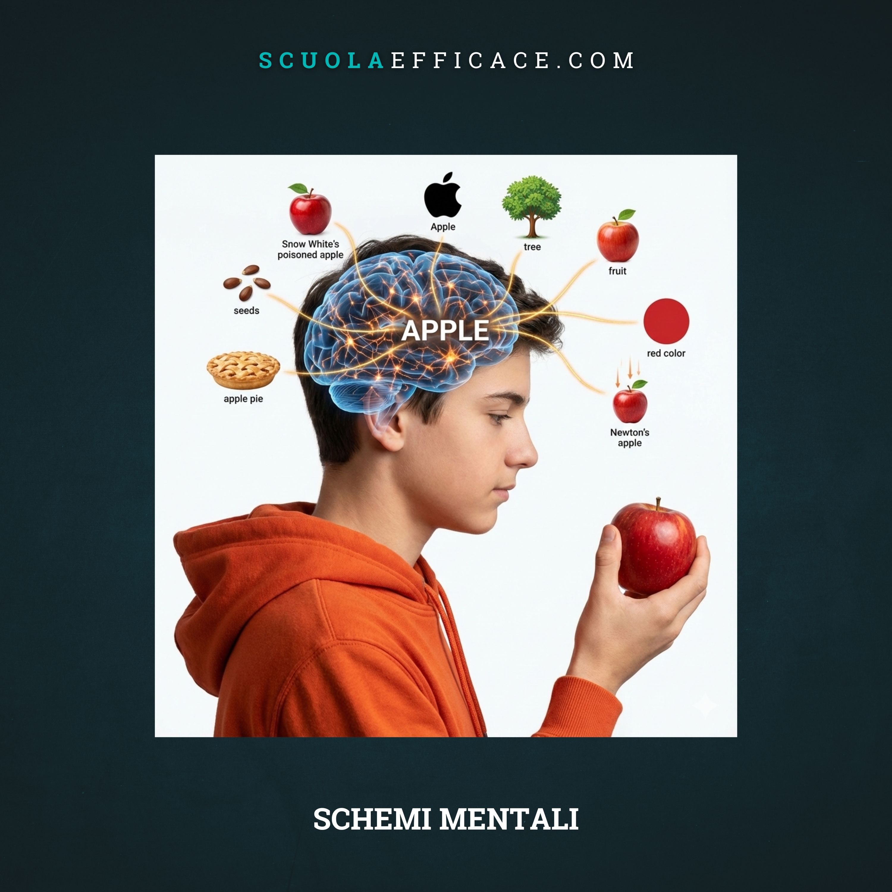 04 Come funzionano gli schemi mentali