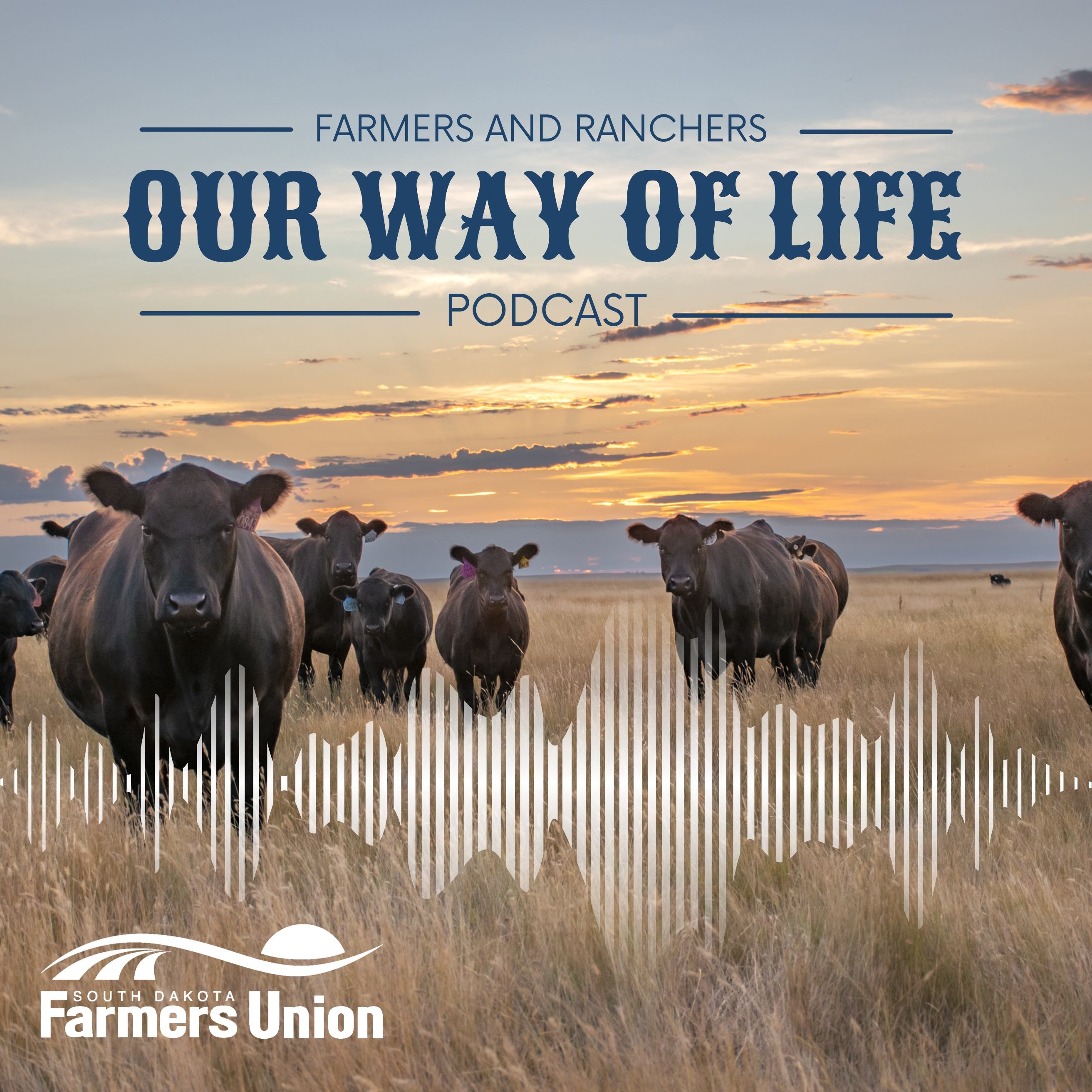 Our Way of Life Podcast