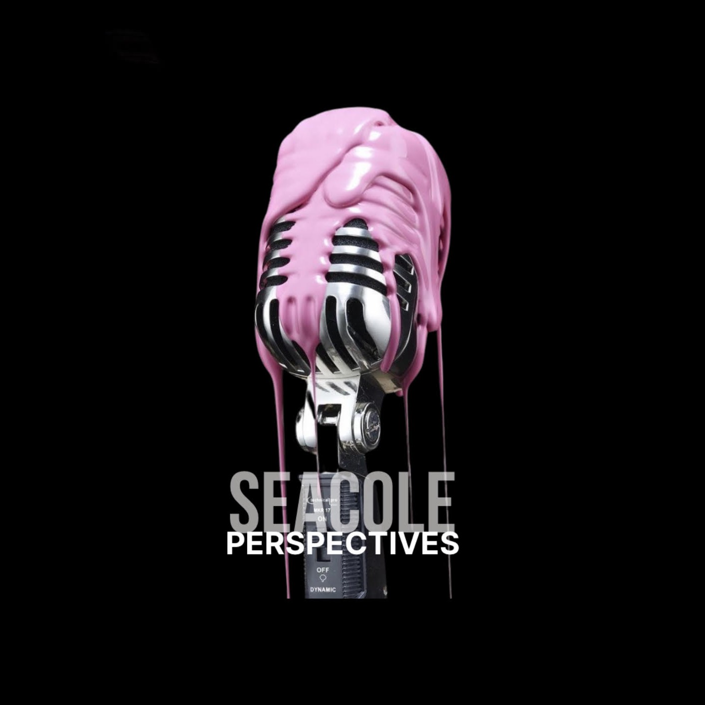 Seacole Perspectives 