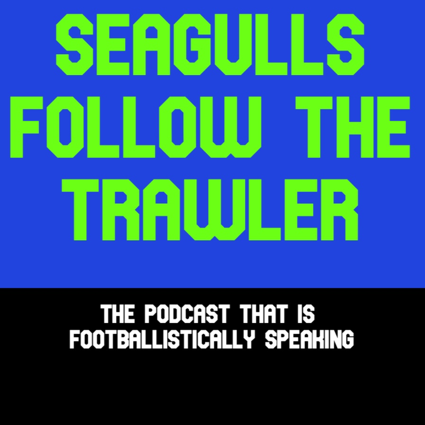 Seagulls Follow The Trawler