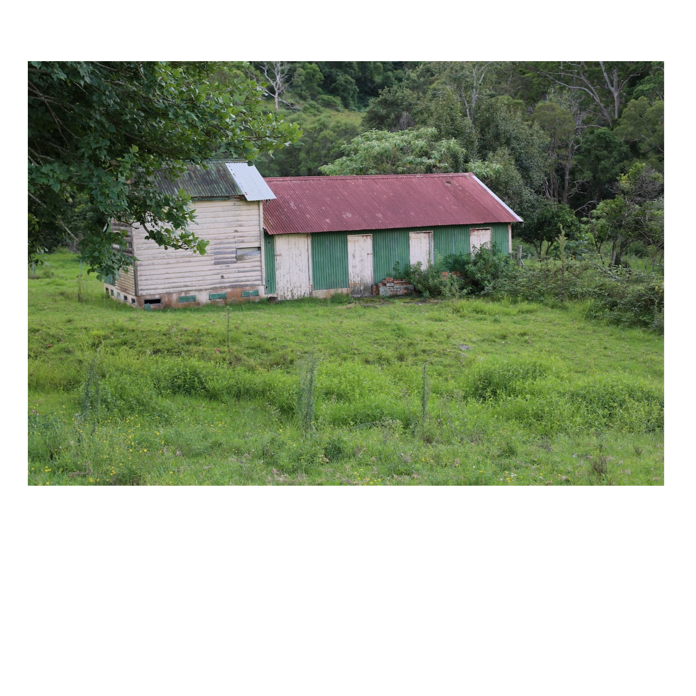 Season 1: The Dairy Lane Project
