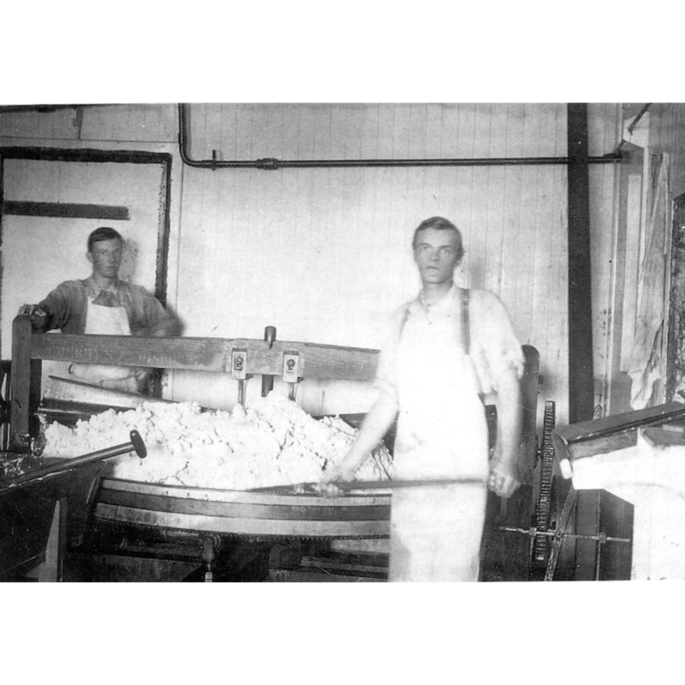 Season 1: The Dairy Lane Project