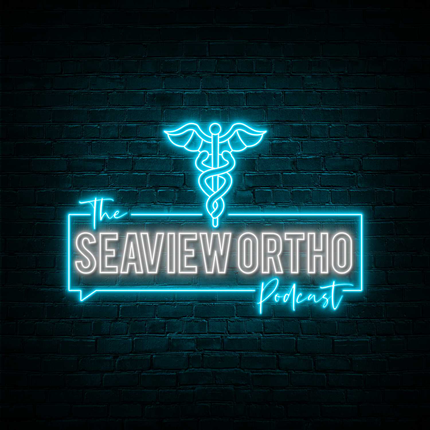 The Seaview OrthoPod Cast