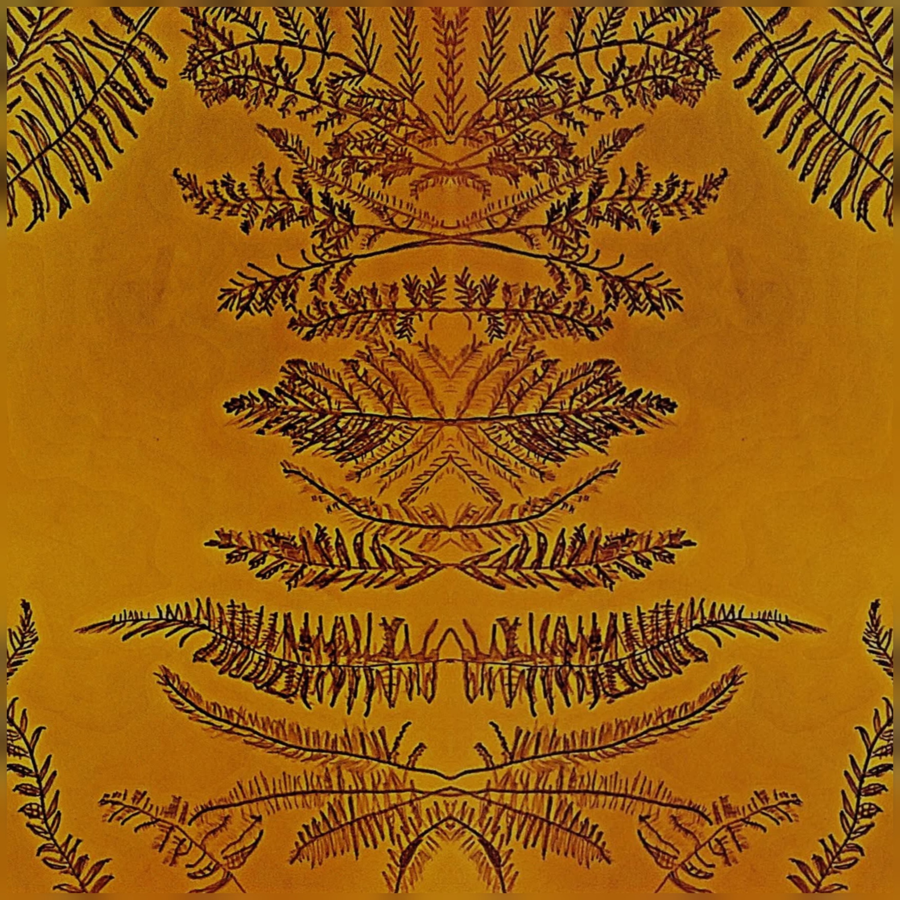 Secrets of the Ferns
