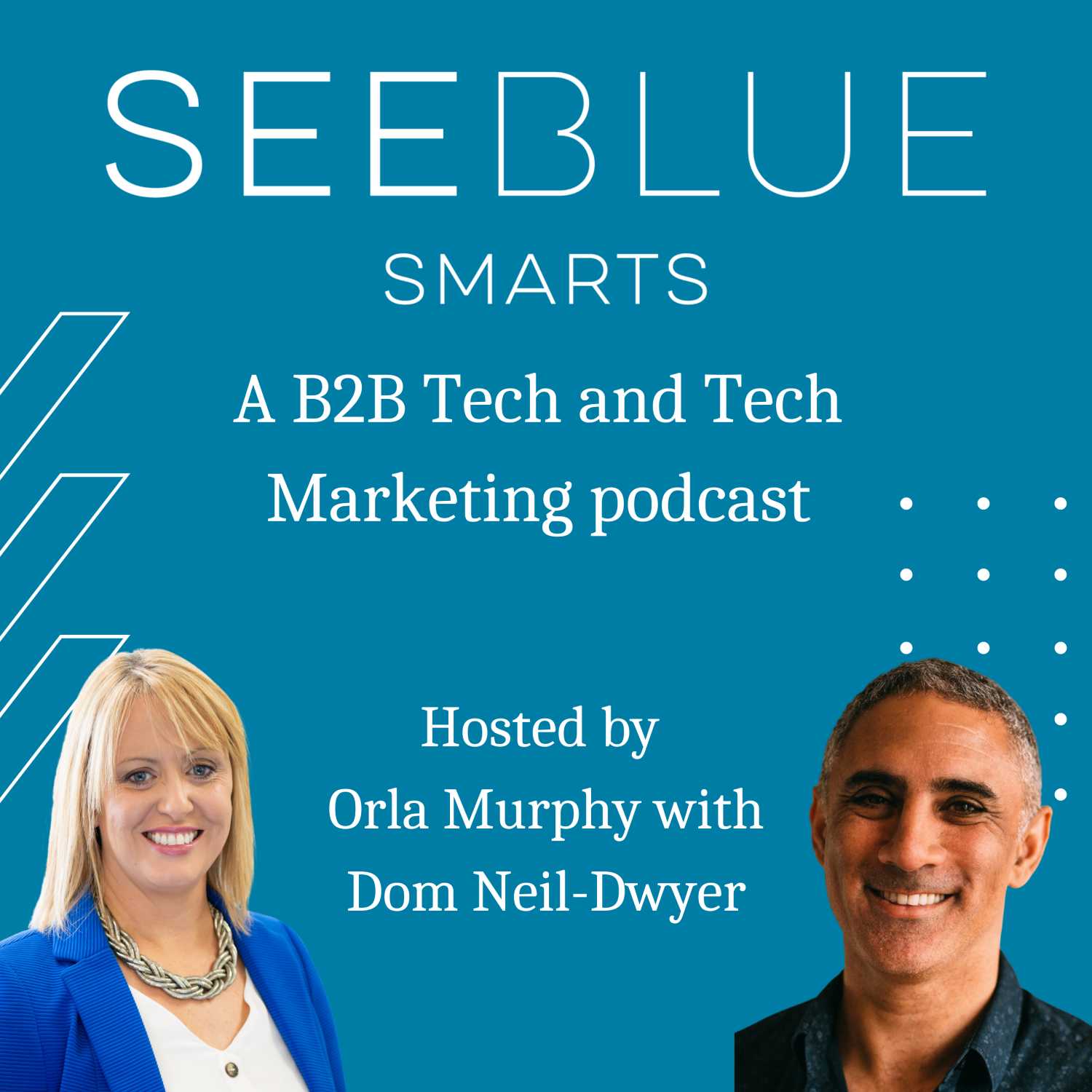 Seeblue Smarts B2B Marketing Podcast