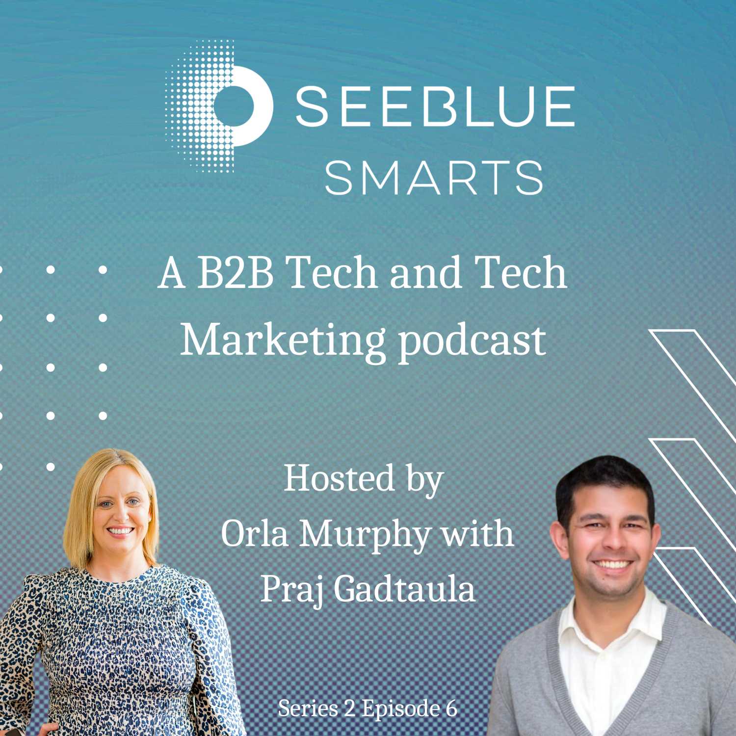 Seeblue Smarts B2B Marketing Podcast