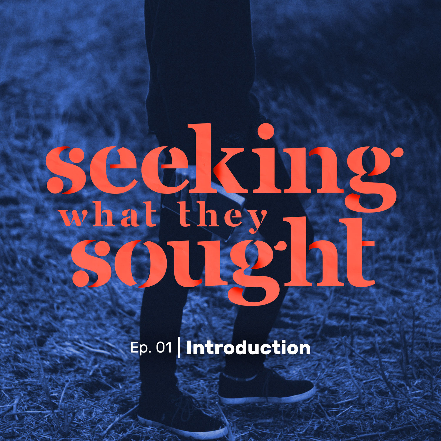 Seeking What They Sought