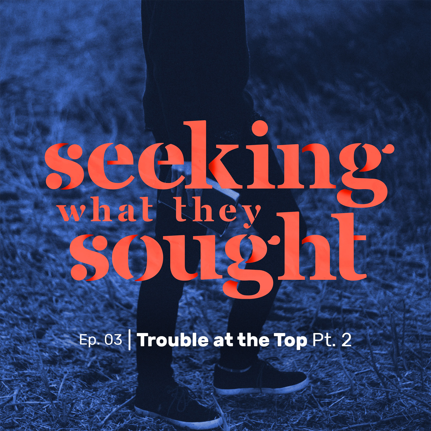Seeking What They Sought