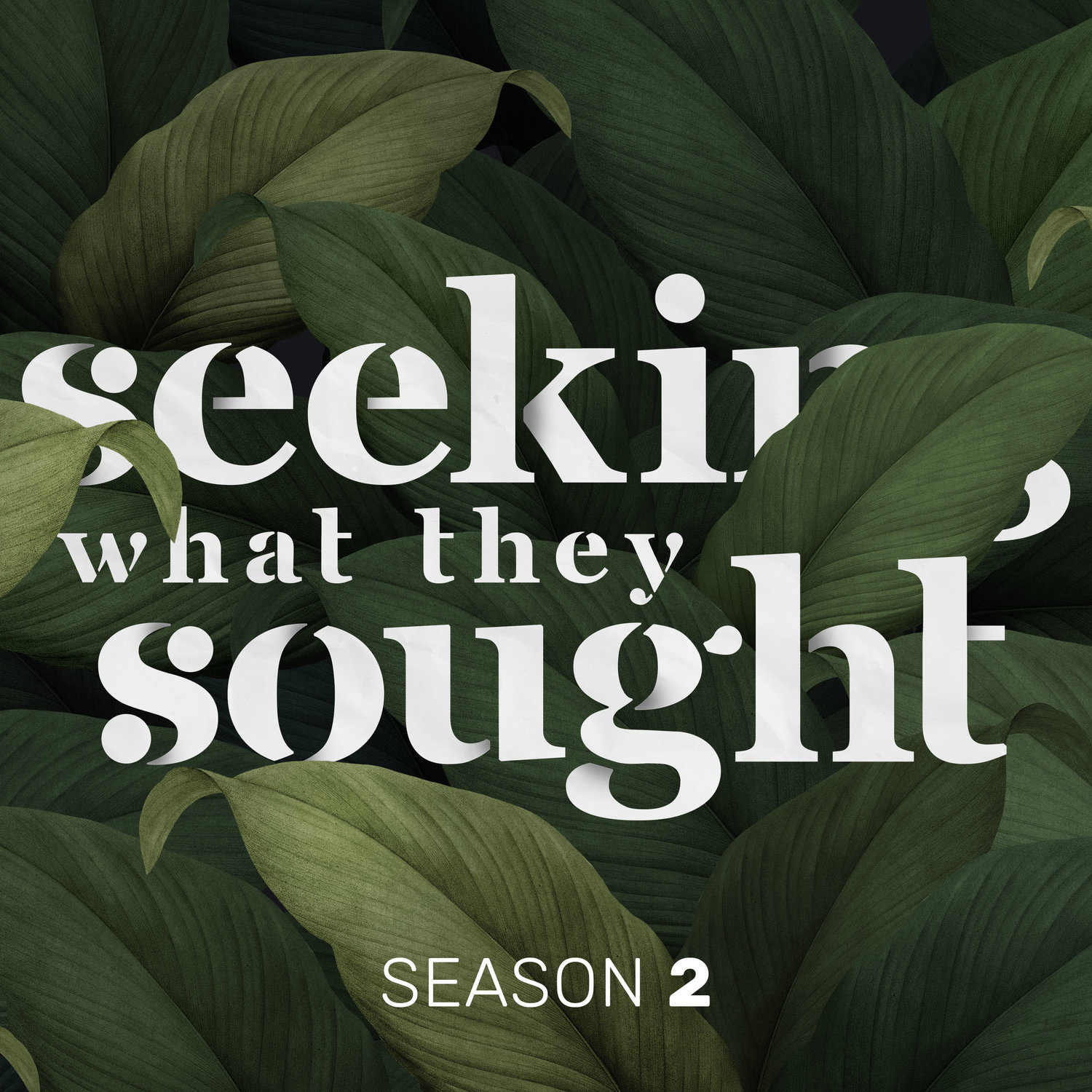 Seeking What They Sought