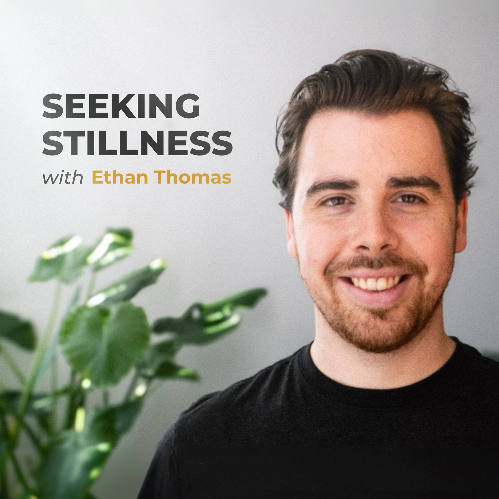 Seeking Stillness