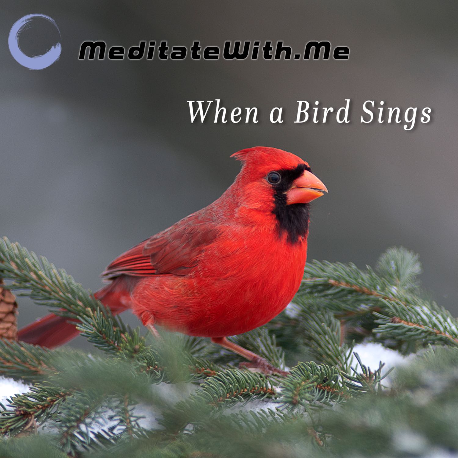 Meditate With Me: Conversations About New Spiritual Paths, Peace, Harmony and Compassion