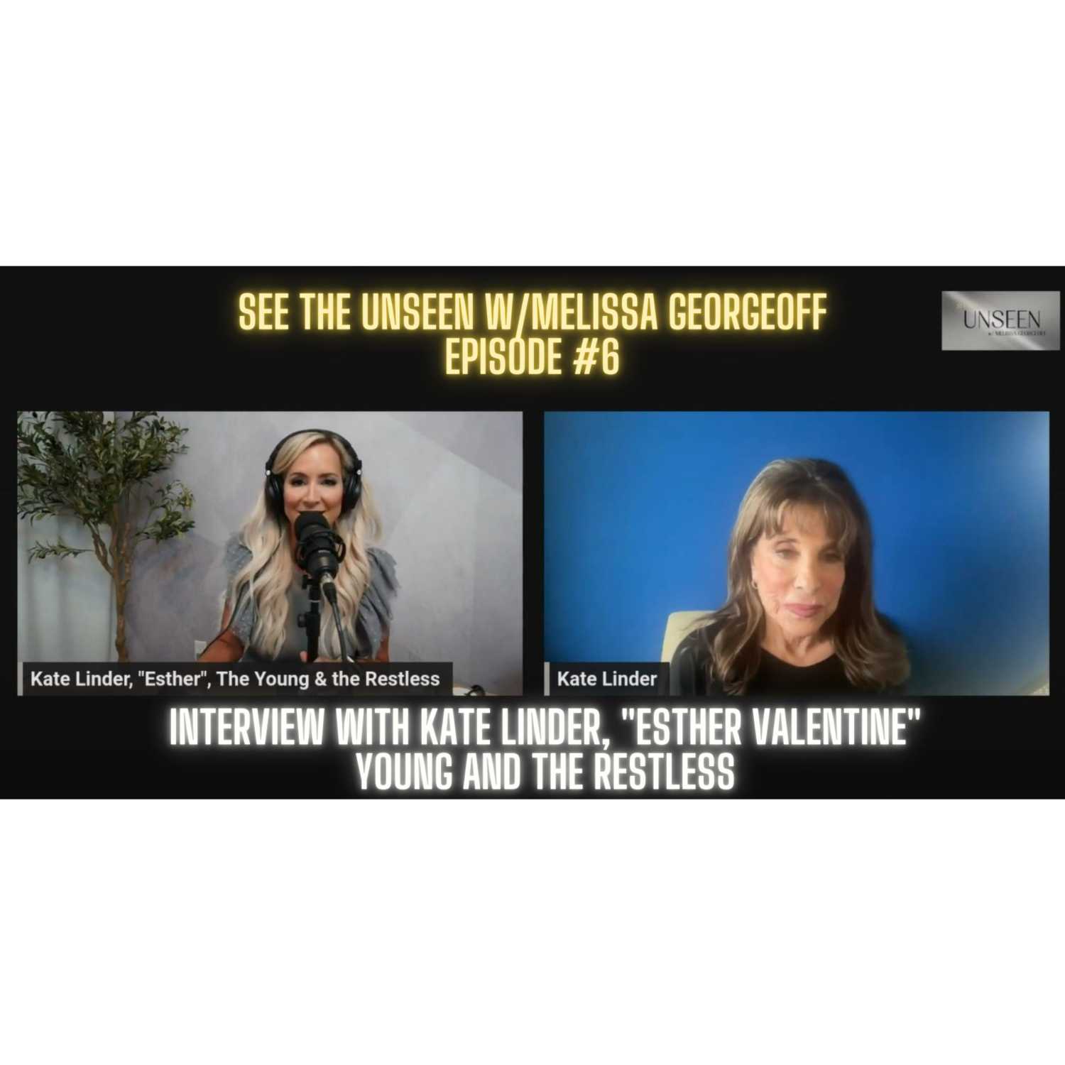 SEE THE UNSEEN Podcast w/Melissa Georgeoff
