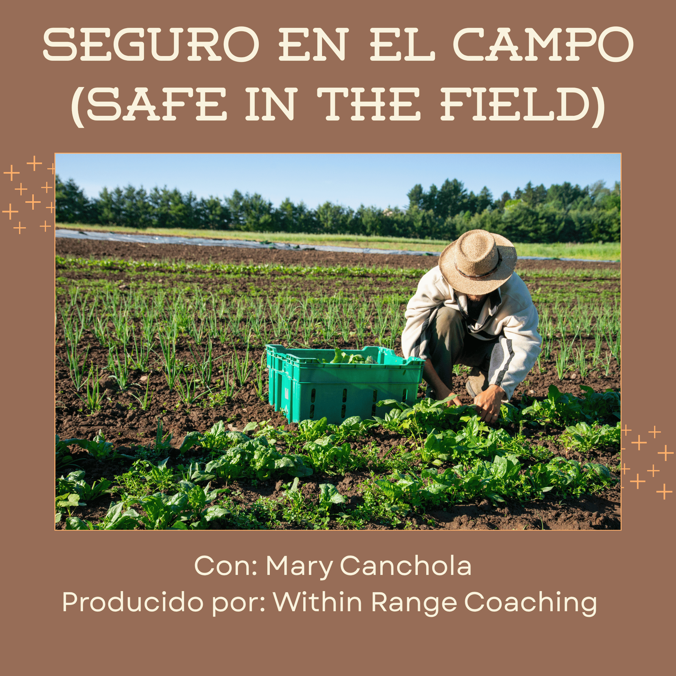 SEGURO EN EL CAMPO podcast artwork