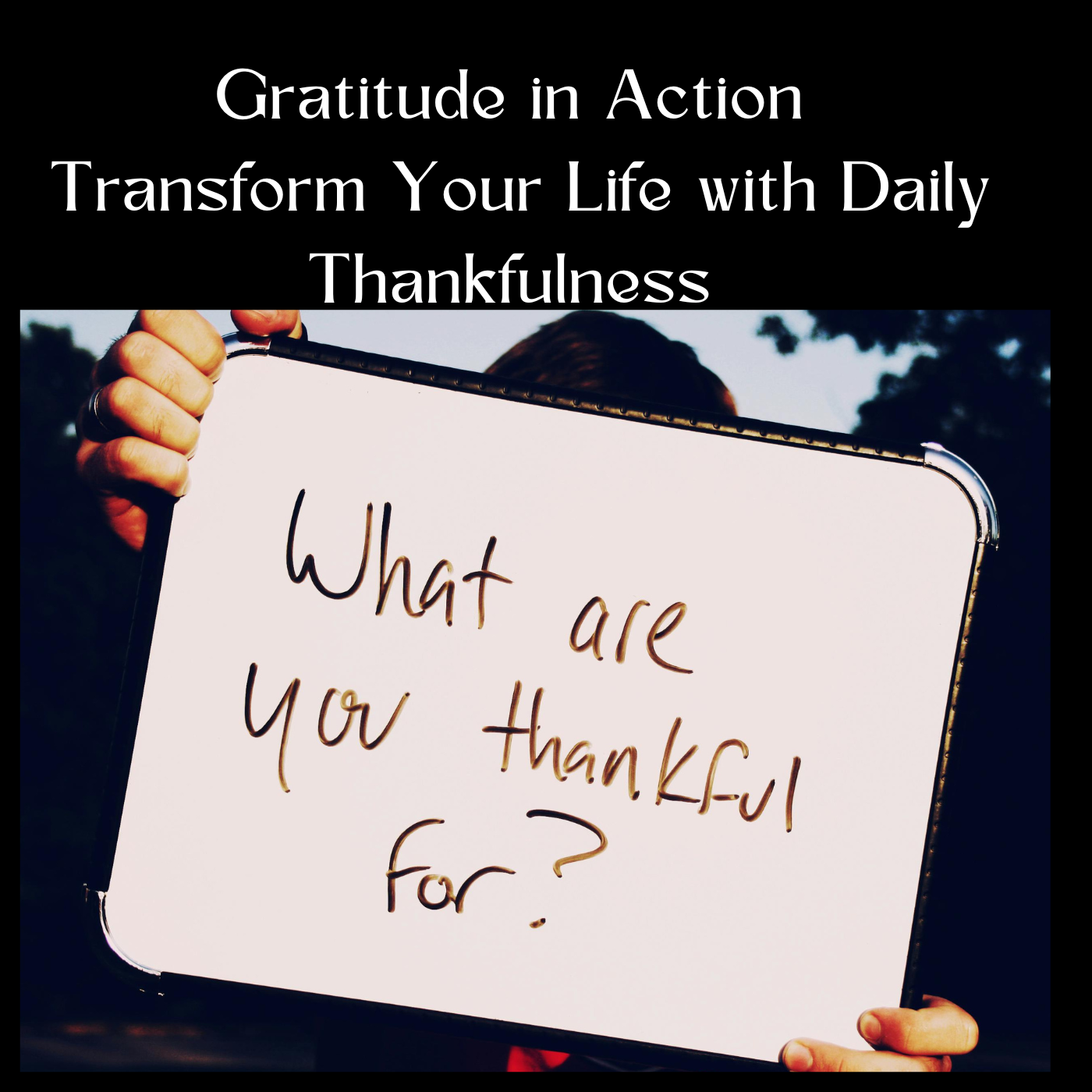 Gratitude in Action: Transform Your Life with Daily Thankfulness