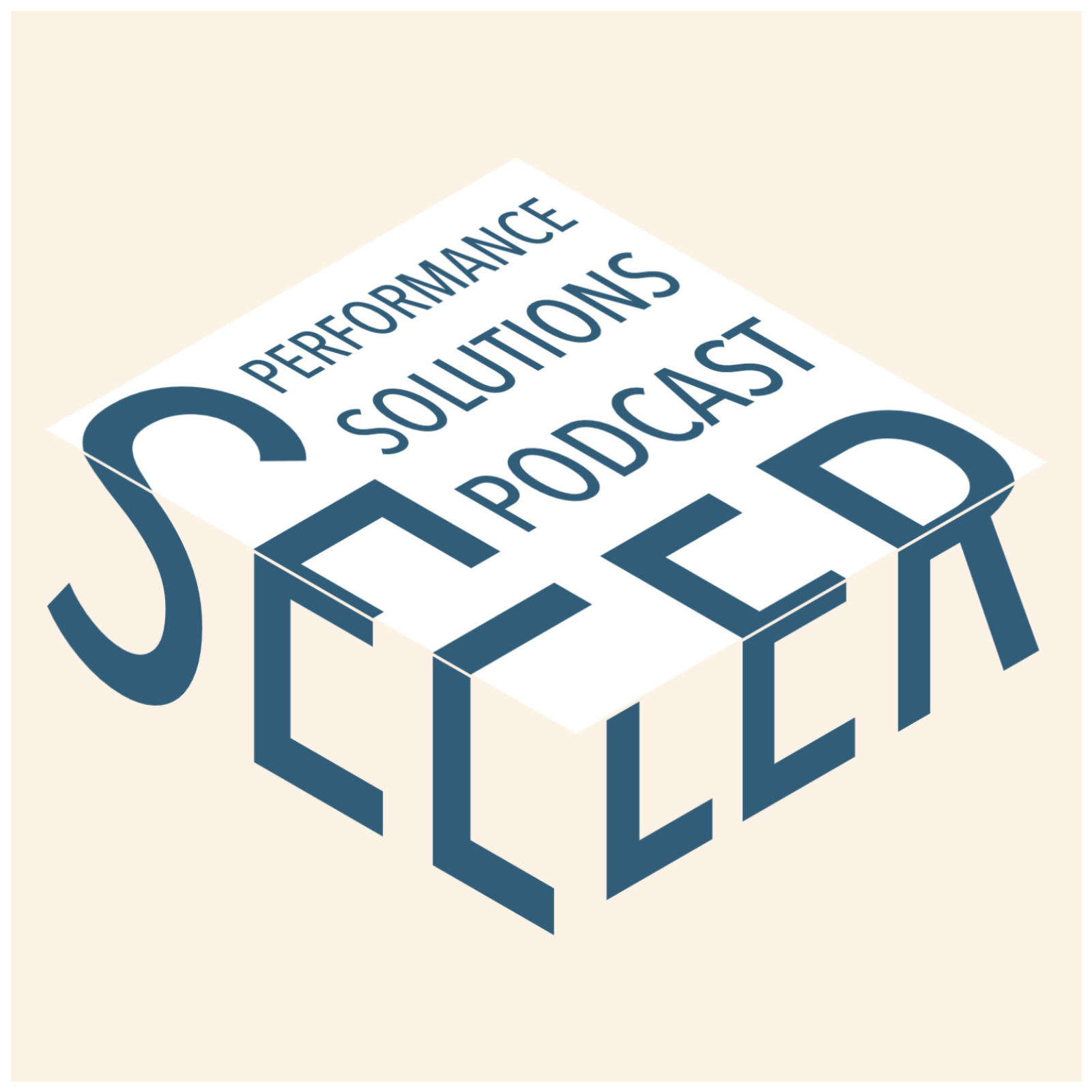 Seller Performance Solutions