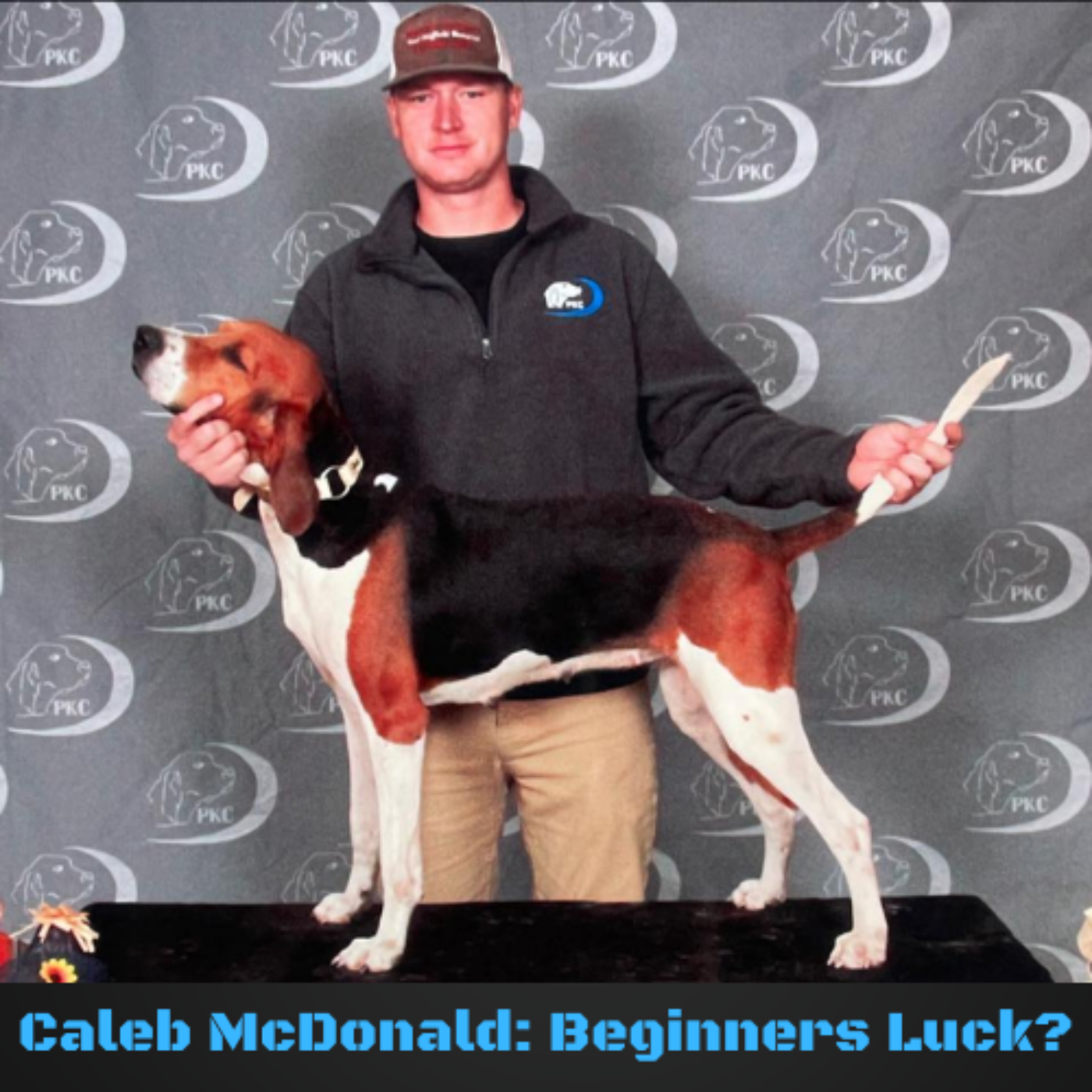 Semper Doggin