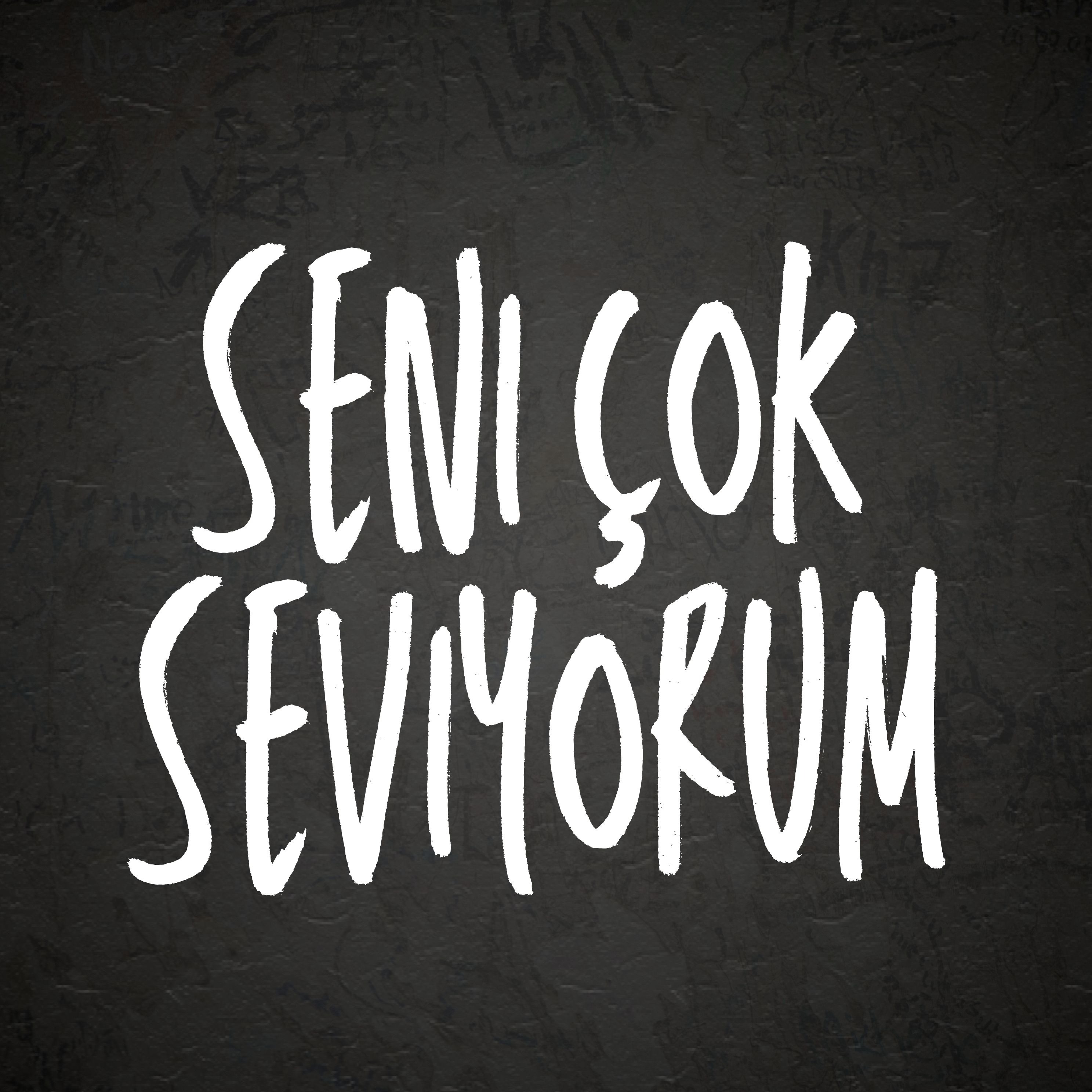 Seni Çok Seviyorum