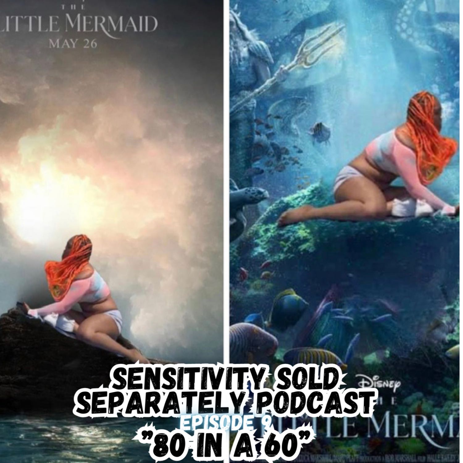 Sensitivity Sold Separately Podcast