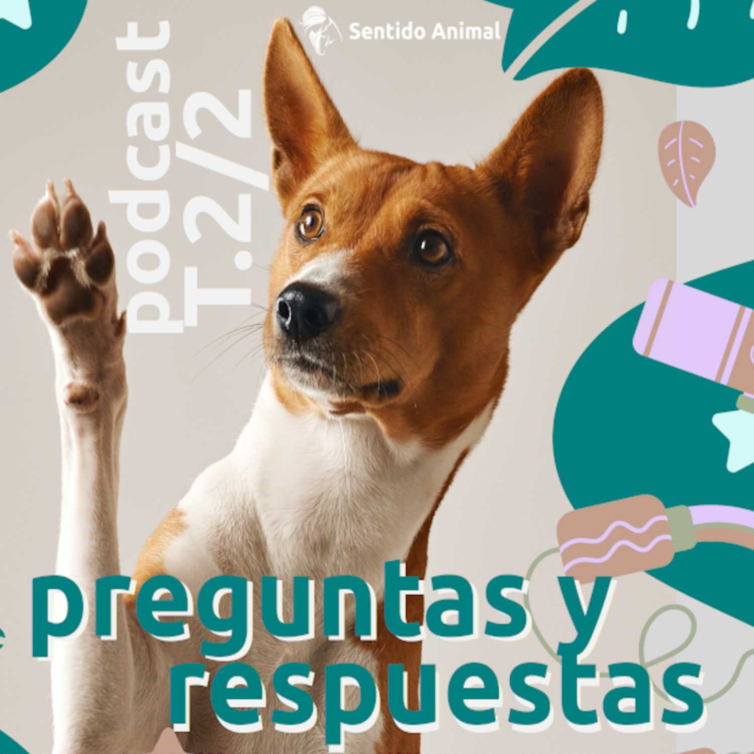 Sentido Animal - conectando animales y personas