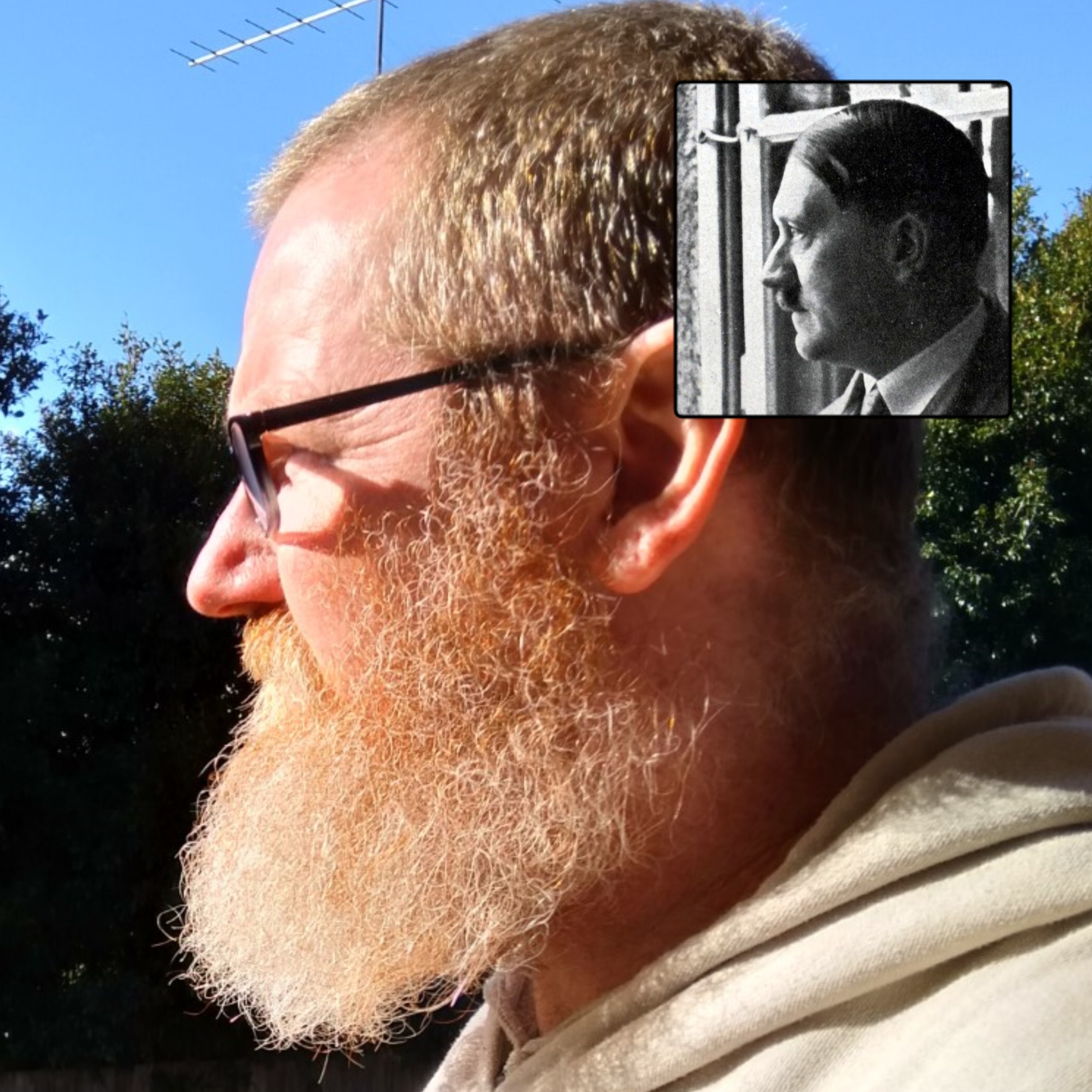 Hohenzollern Romanov Habsburg Hitler & Webb Family History Facts. Serendipity Vs. Conspiracy.